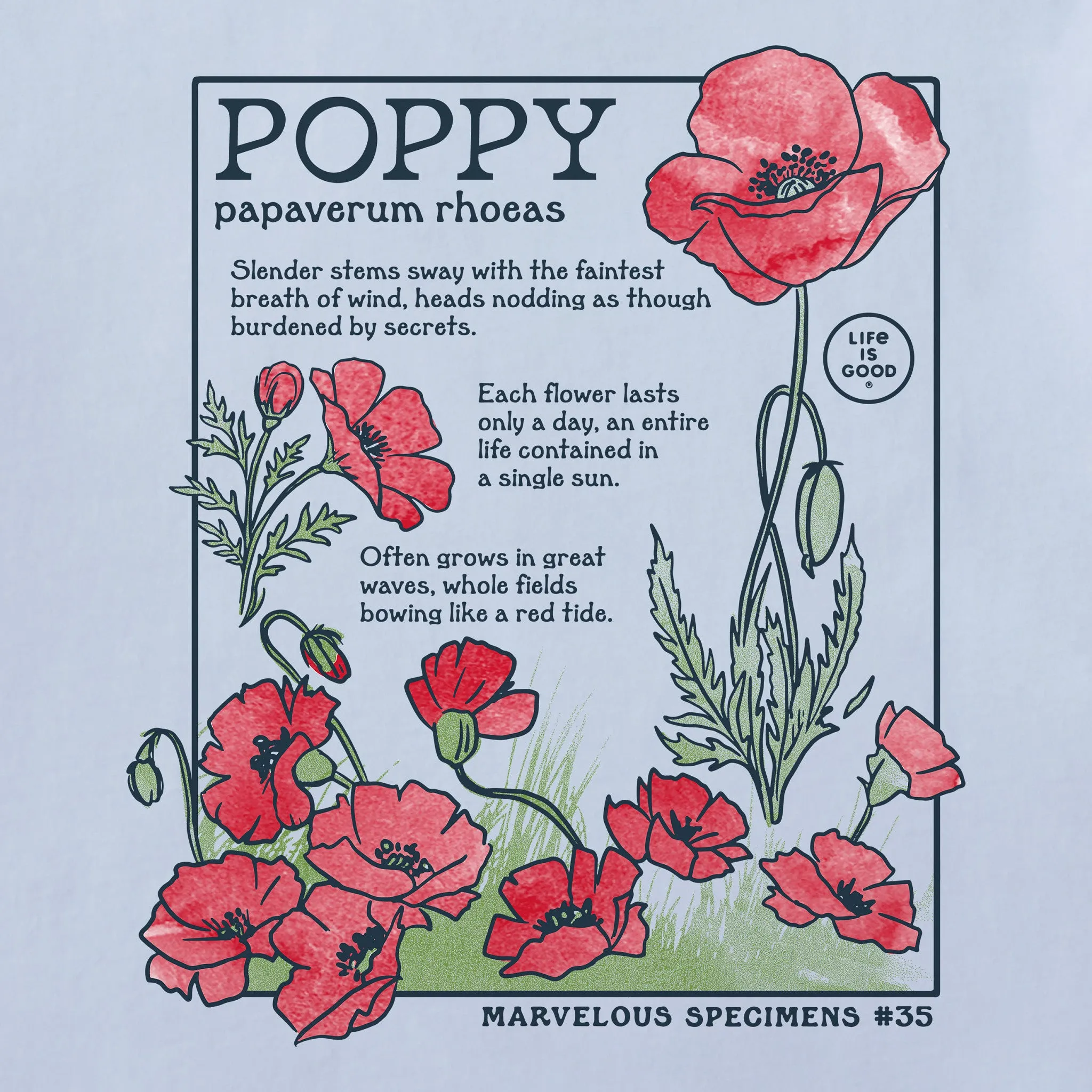 Women's Marvelous Poppy Long Sleeve Crusher Tee sold by Life is Good product image thumbnail 2