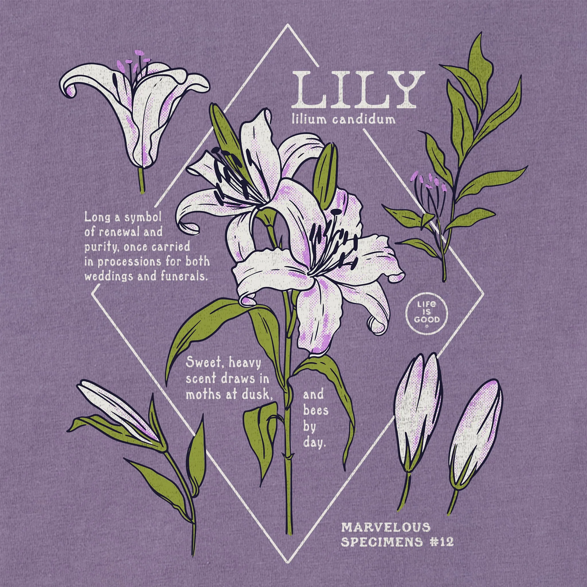 Women's Marvelous Lily Long Sleeve Crusher Tee sold by Life is Good product image thumbnail 2