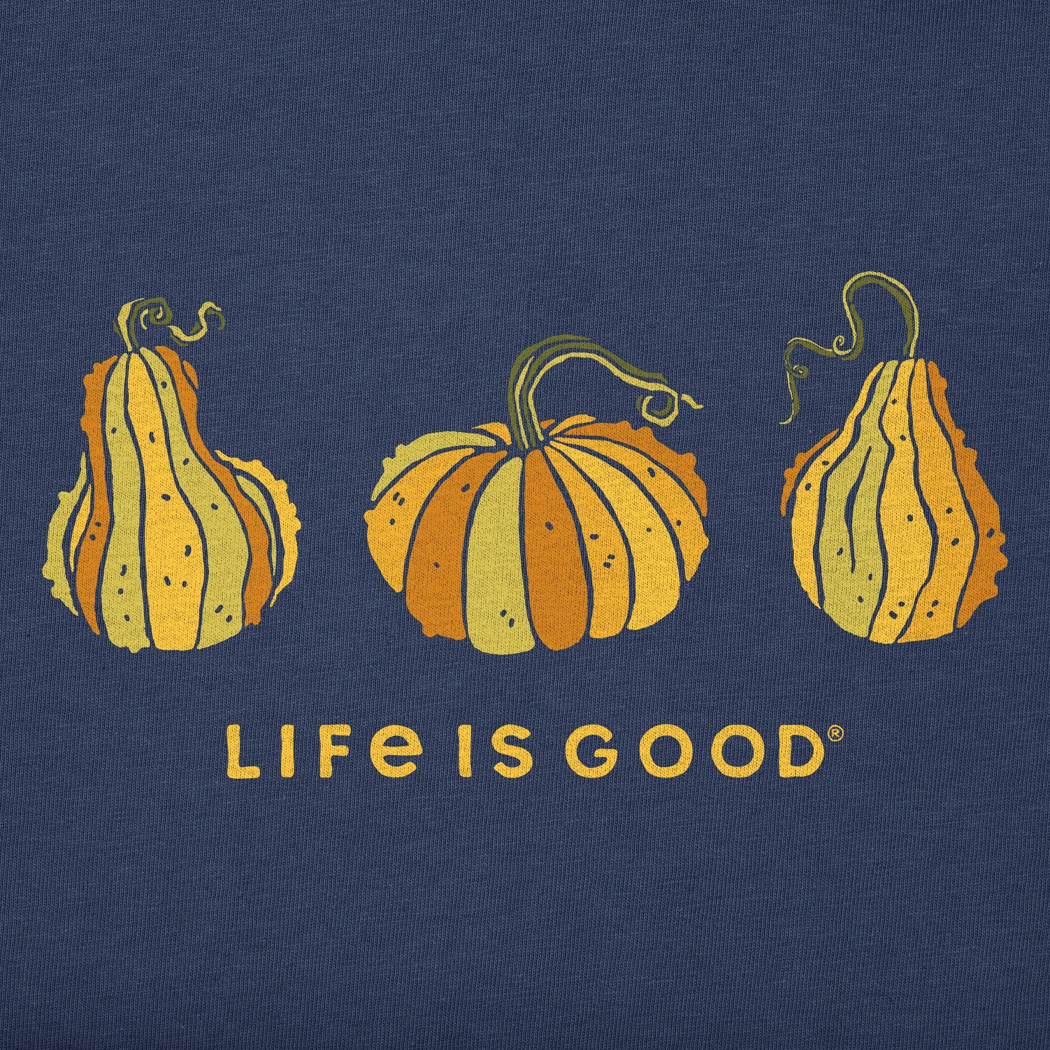 Men's Gourd Trio Short Sleeve Crusher Tee sold by Life is Good product image thumbnail 2