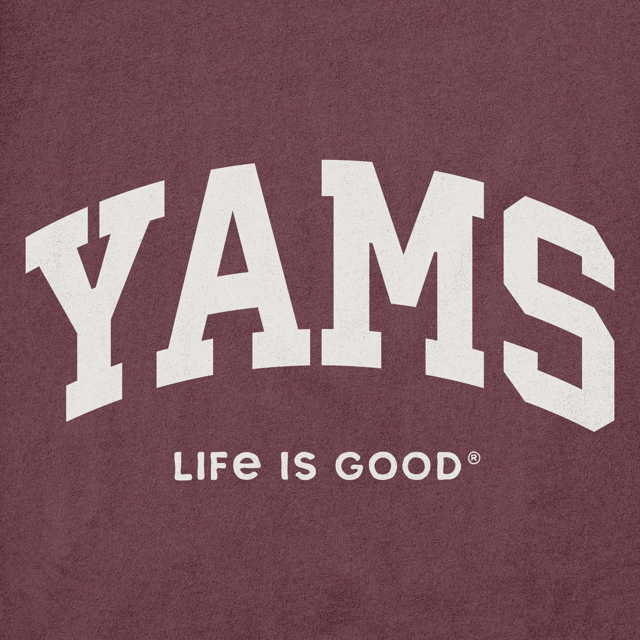 Men's Yams Arch Long Sleeve Crusher Tee sold by Life is Good product image thumbnail 2