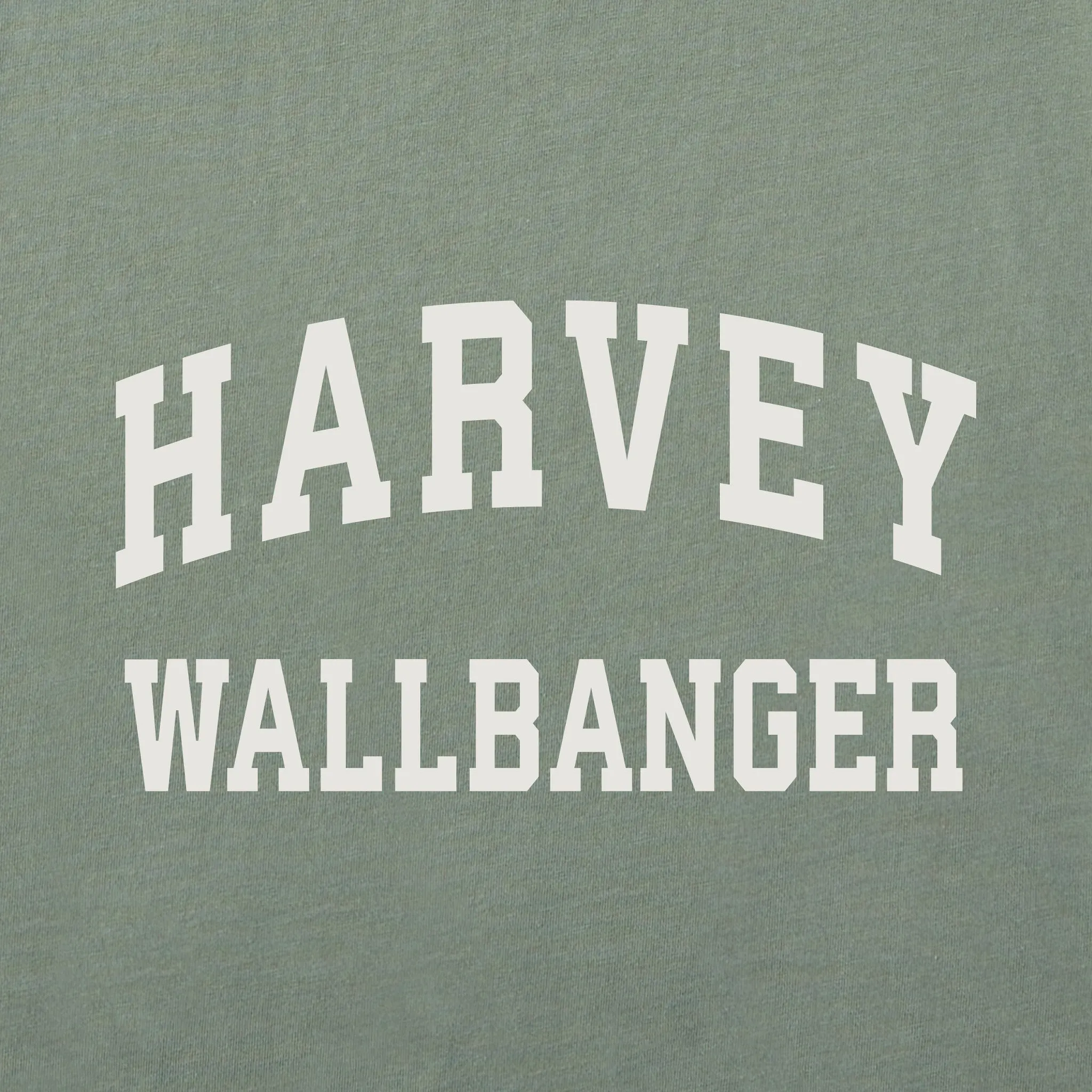 Women's Harvey Wallbanger Arch Short Sleeve Crusher Boxy Tee sold by Life is Good product image thumbnail 2
