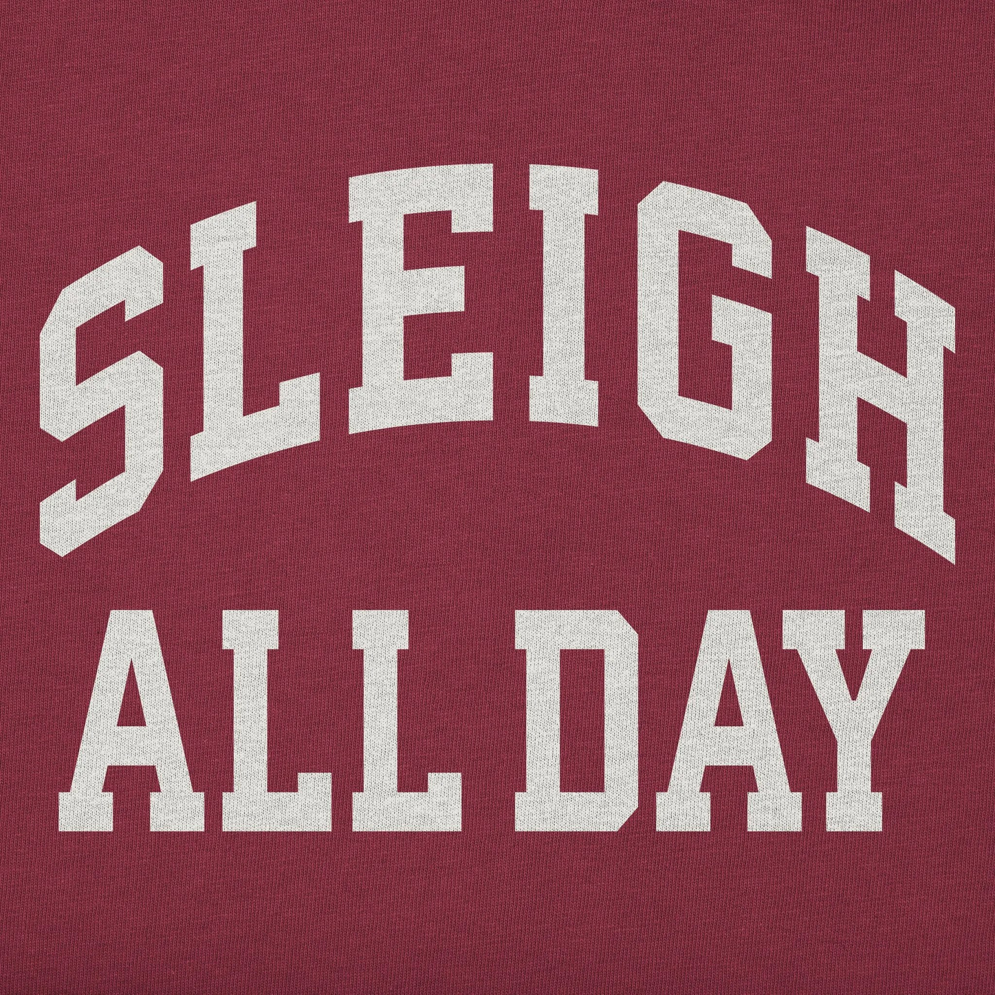 Women's Sleigh All Day Arch Simply True Fleece Crew sold by Life is Good product image thumbnail 4