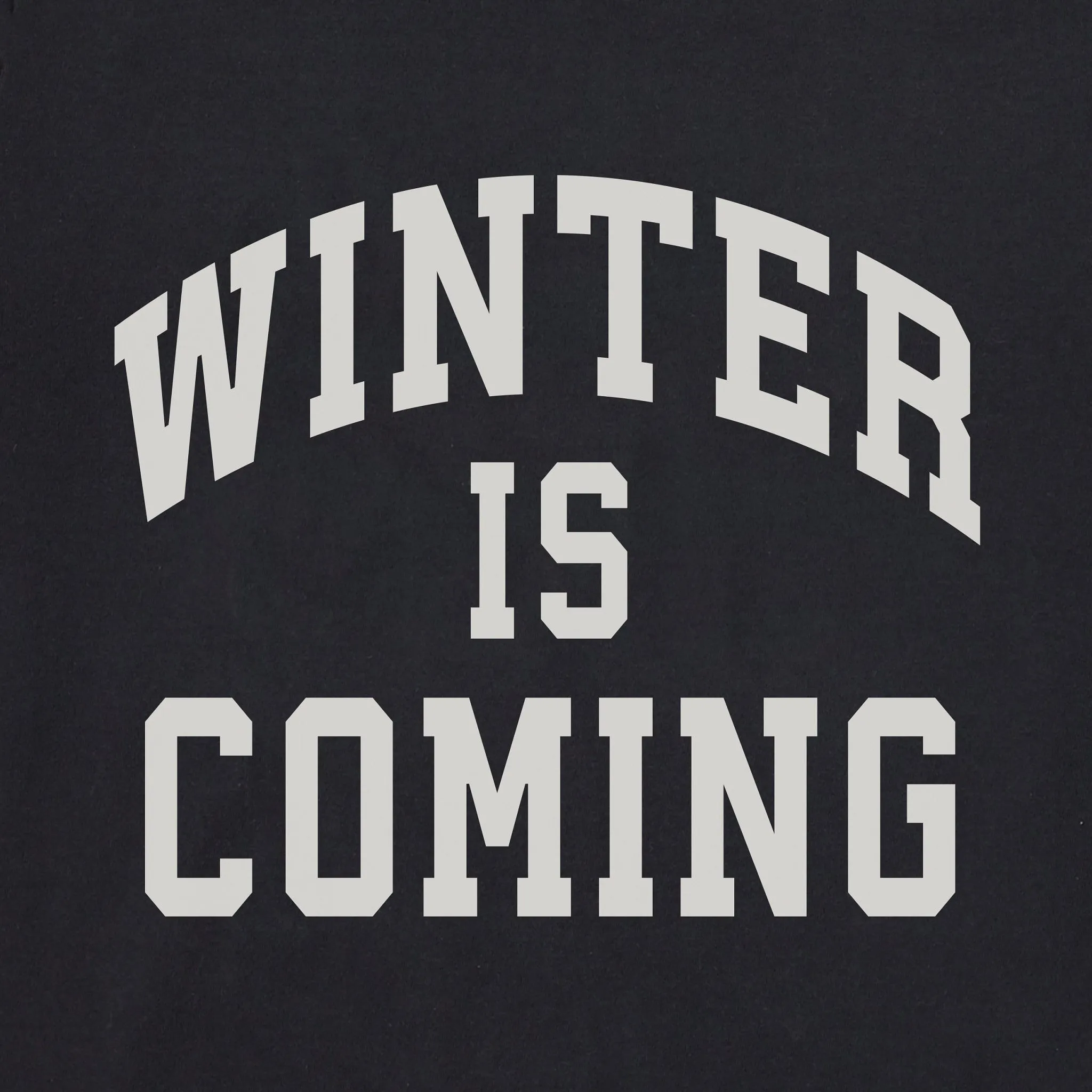 Women's Winter is Coming Arch Simply True Fleece Crew sold by Life is Good product image thumbnail 4