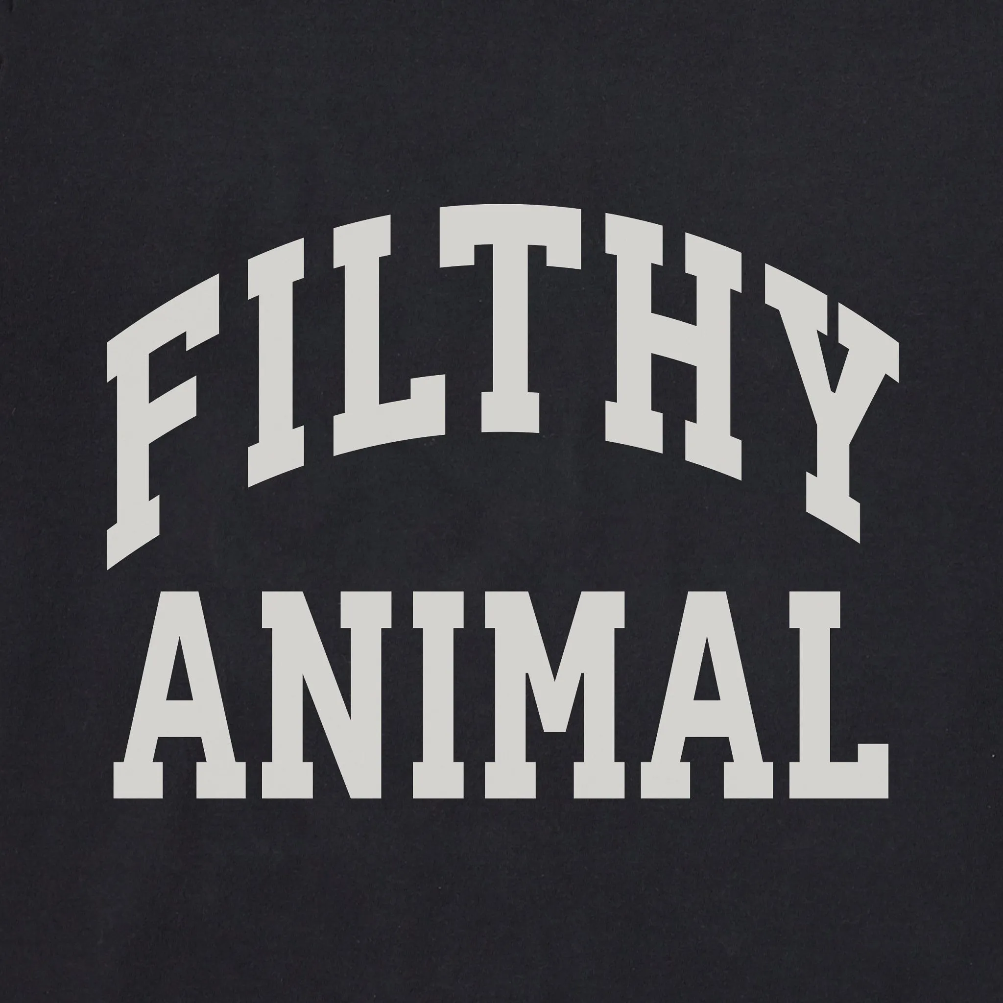 Women's Filthy Animal Arch Long Sleeve Crusher Tee sold by Life is Good product image thumbnail 2