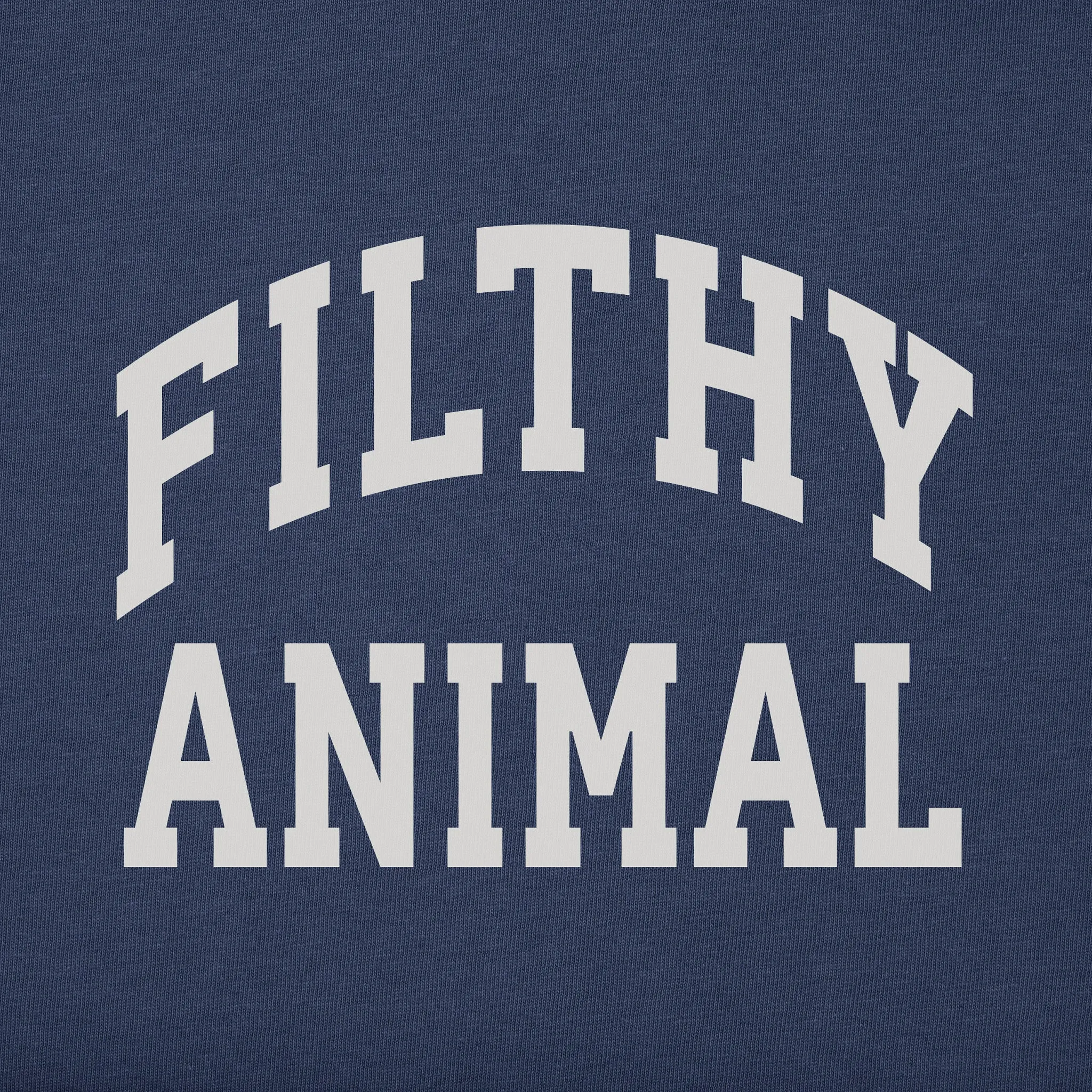 Women's Filthy Animal Arch Simply True Fleece Hoodie sold by Life is Good product image thumbnail 2