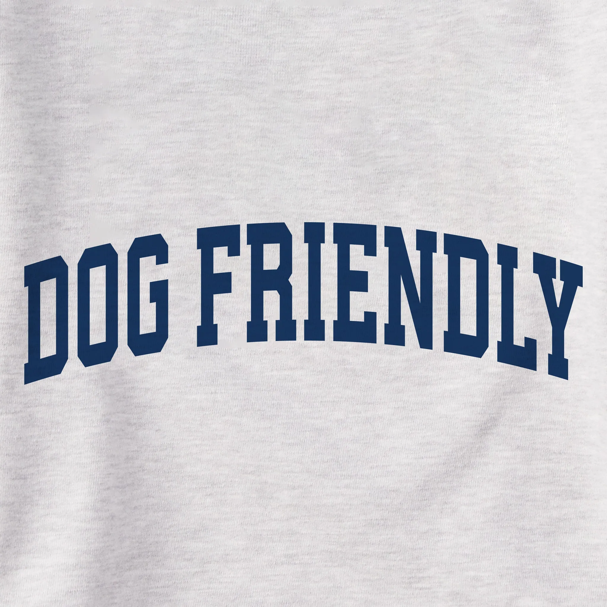 Men's Dog Friendly Arch Simply True Fleece Hoodie sold by Life is Good product image thumbnail 2
