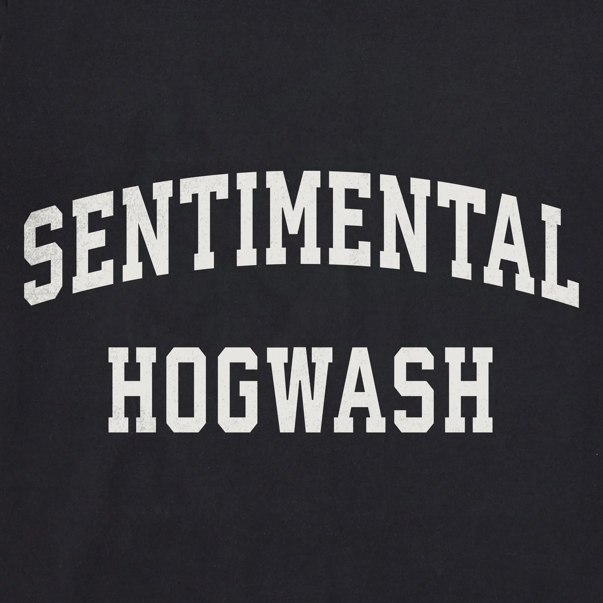 Women's Sentimental Hogwash Arch Long Sleeve Crusher Tee sold by Life is Good product image thumbnail 2