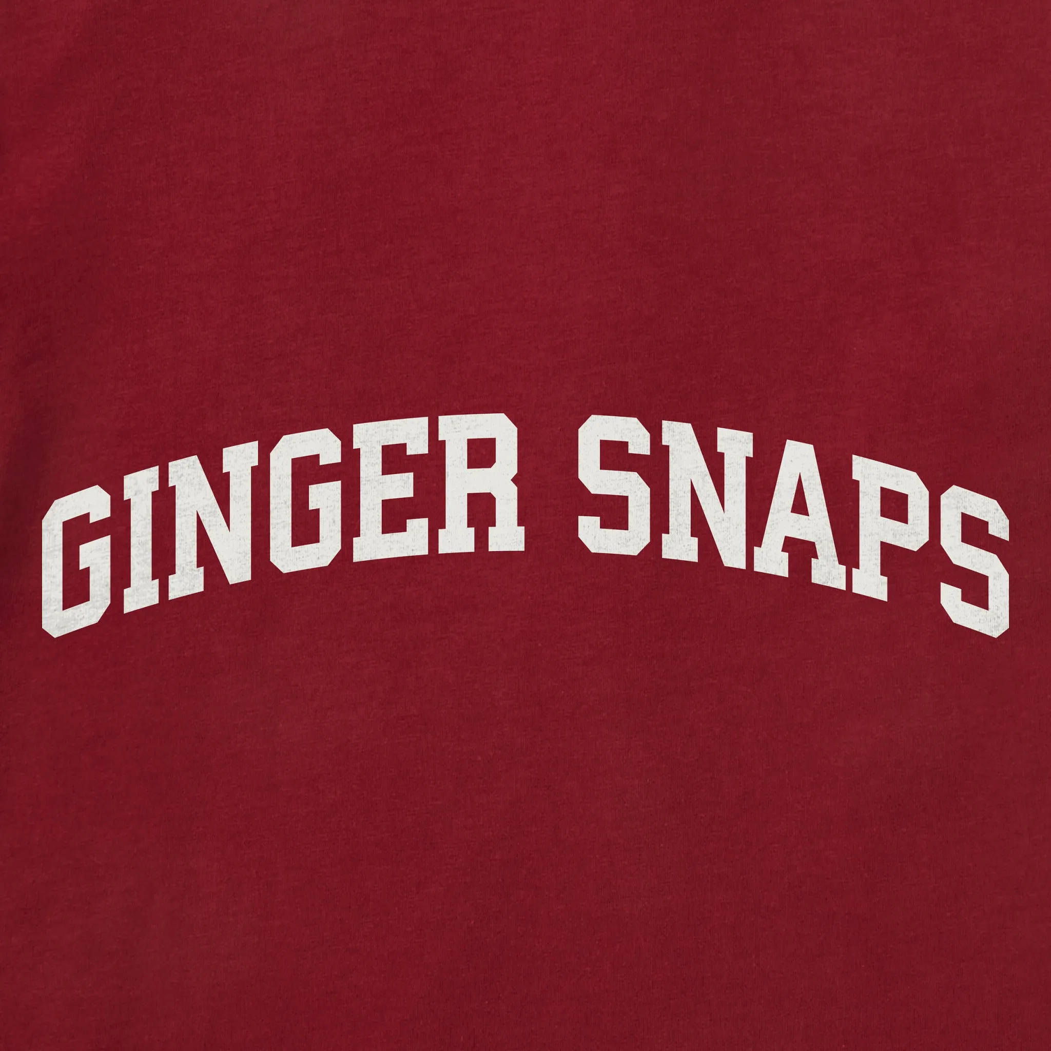 Men's Ginger Snaps Arch Long Sleeve Crusher Tee sold by Life is Good product image thumbnail 2