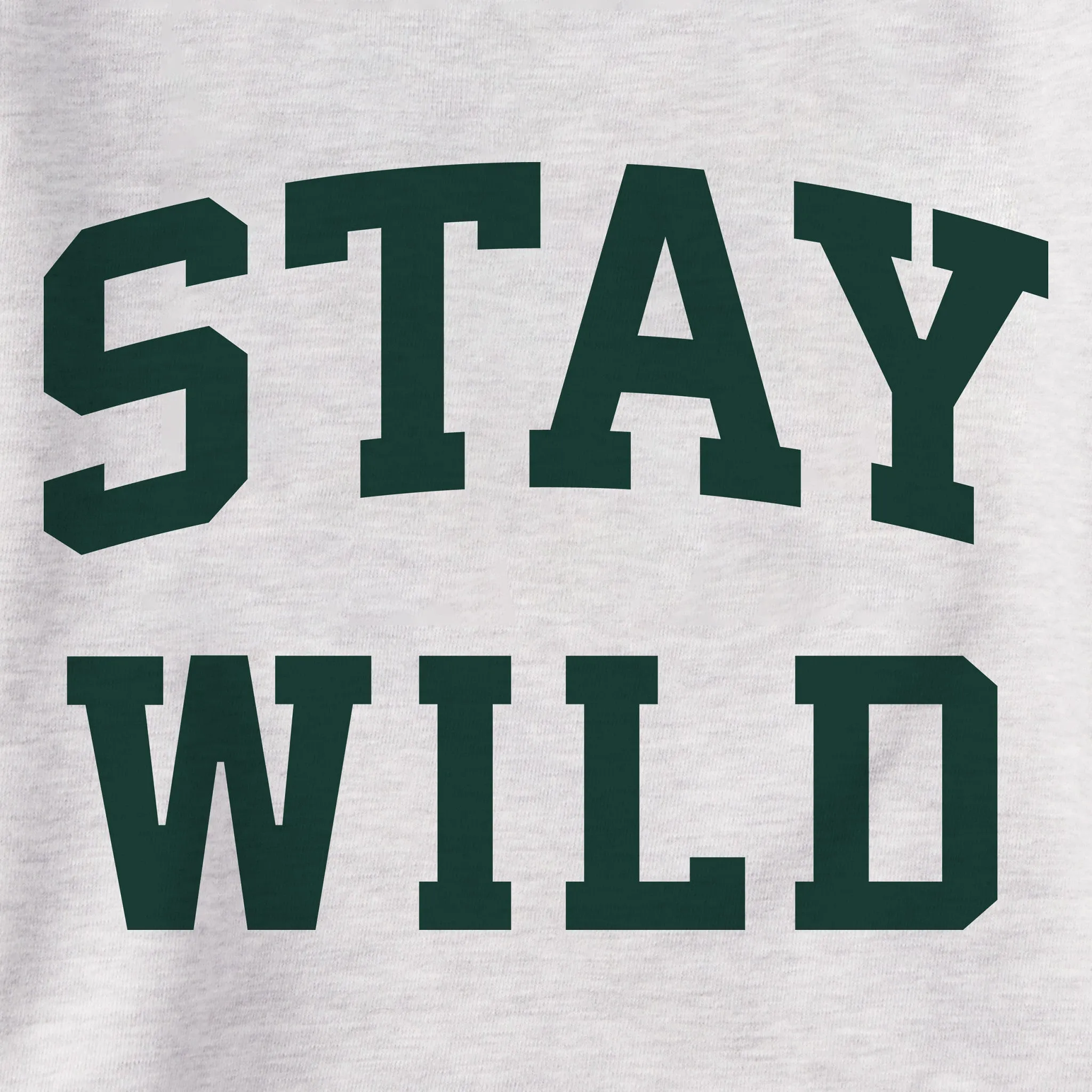Women's Stay Wild Arch Simply True Fleece Hoodie sold by Life is Good product image thumbnail 2