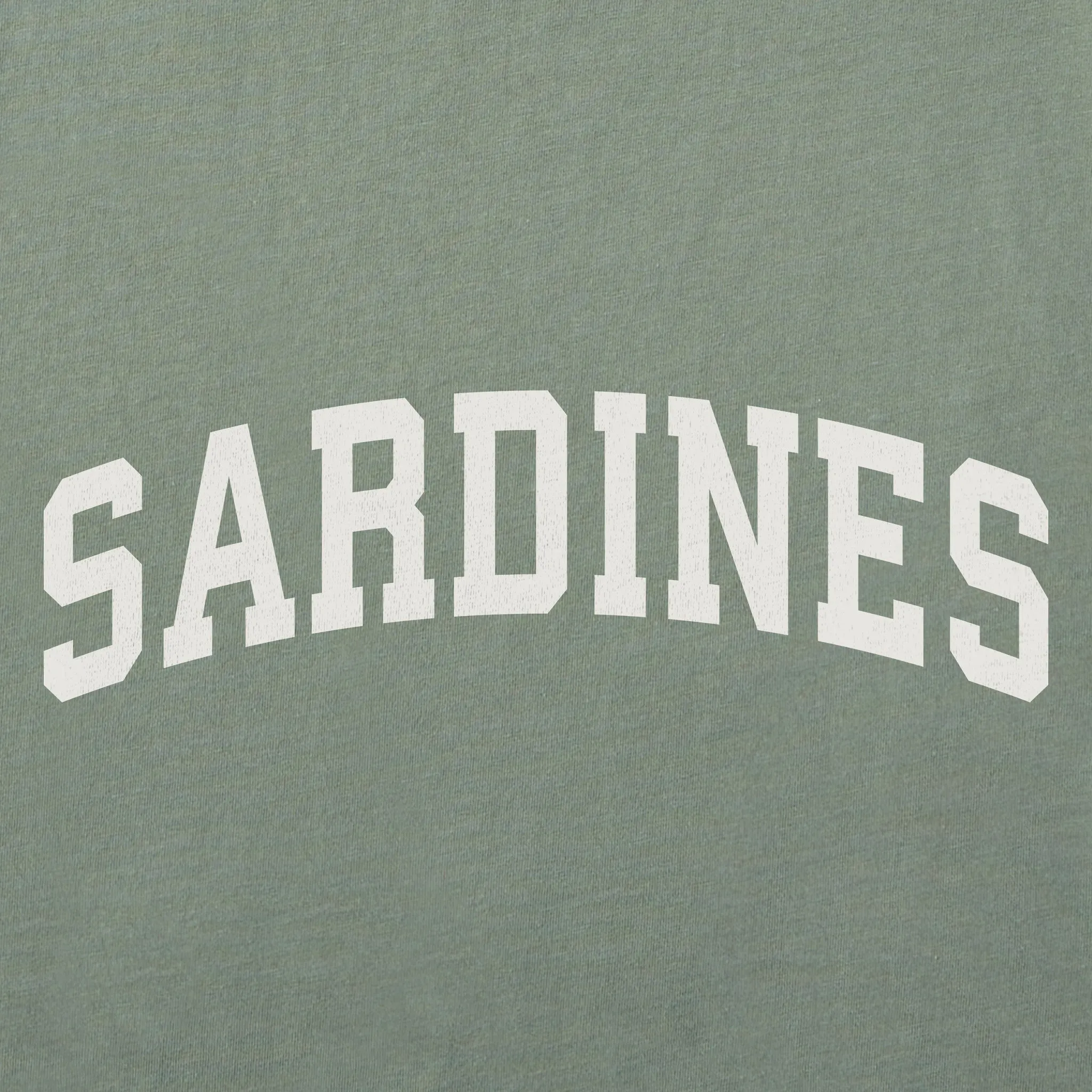 Women's Sardines Arch Short Sleeve Crusher Boxy Tee sold by Life is Good product image thumbnail 2