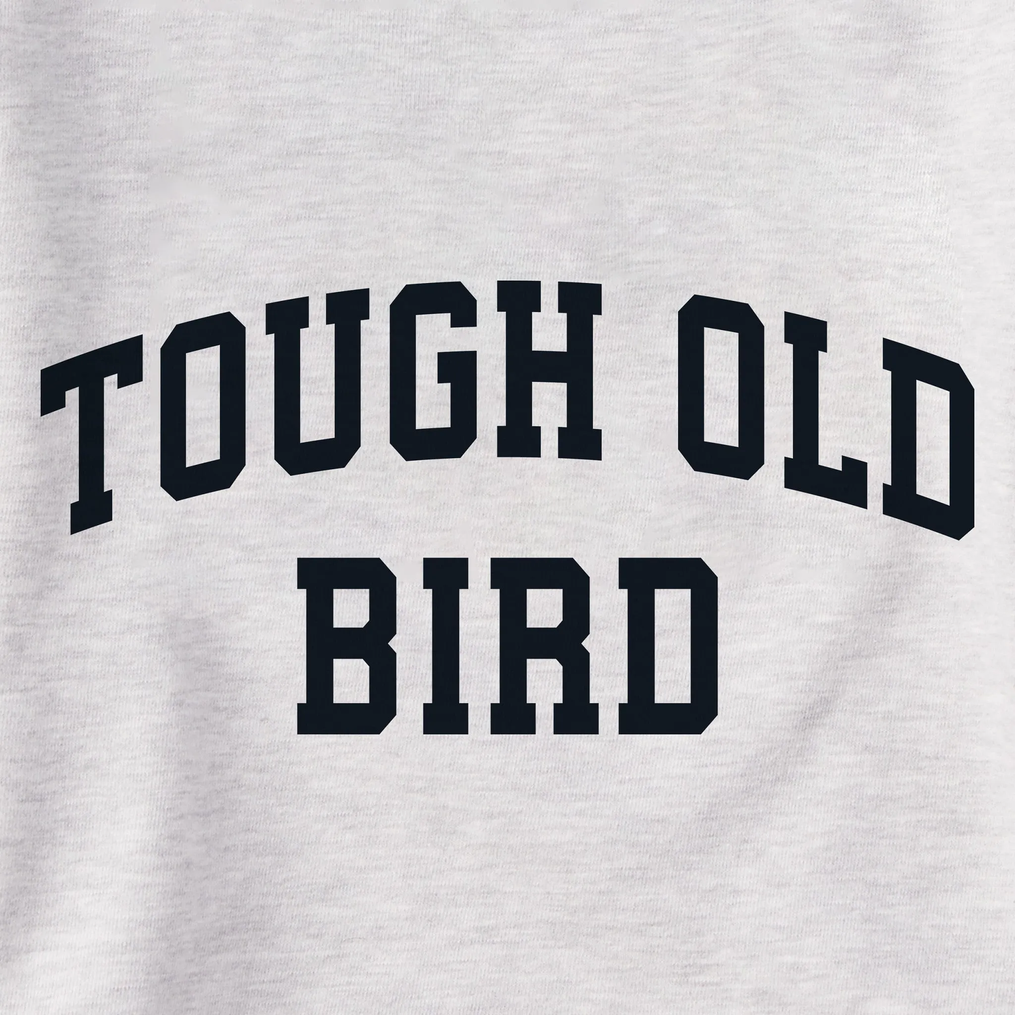 Women's Tough Old Bird Arch Simply True Fleece Hoodie sold by Life is Good product image thumbnail 2