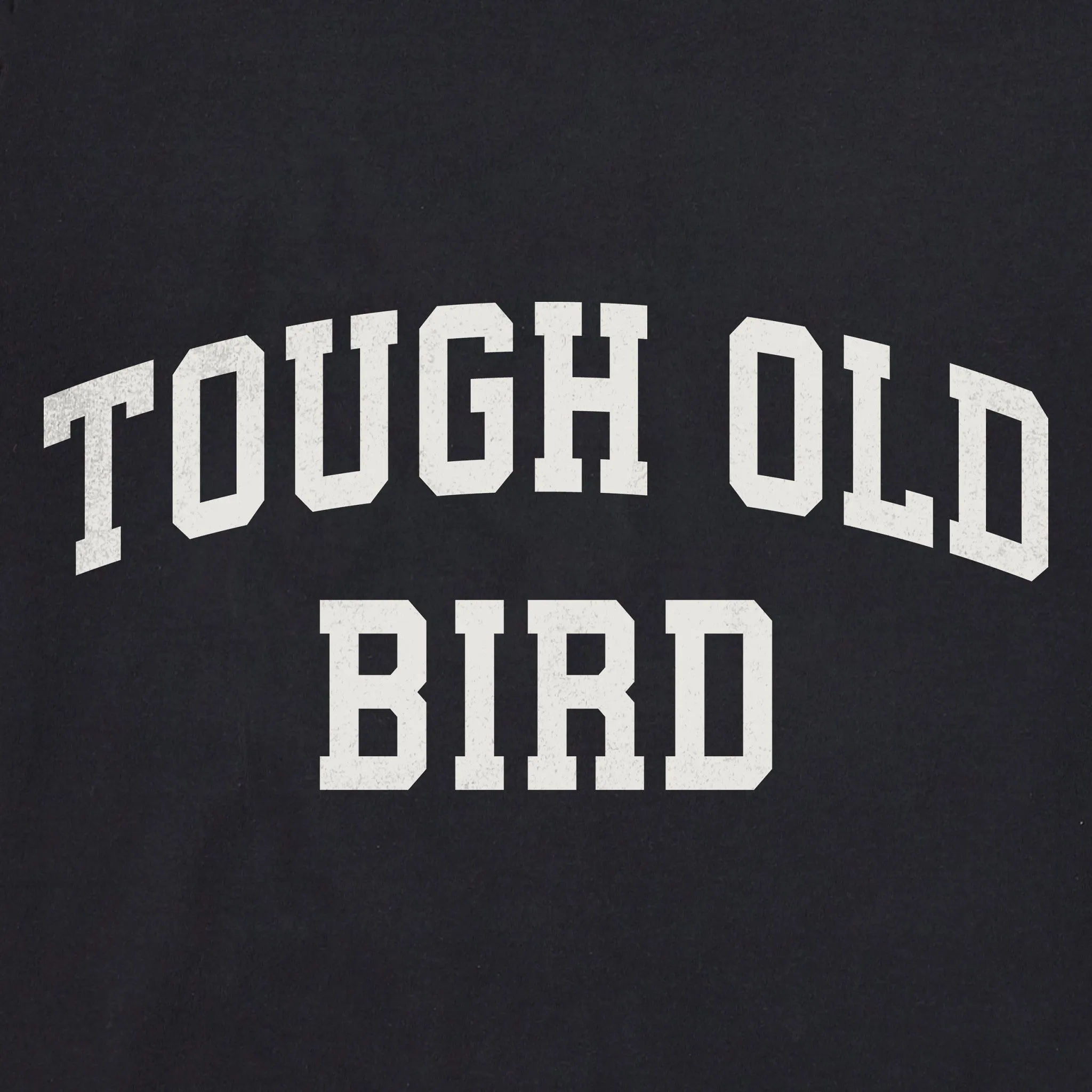 Women's Tough Old Bird Arch Short Sleeve Crusher Vee sold by Life is Good product image thumbnail 2