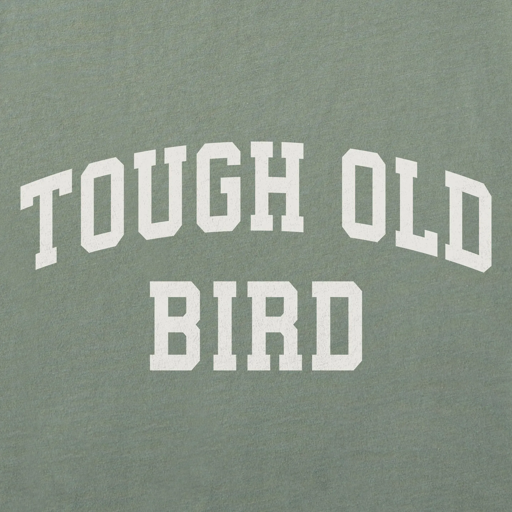 Women's Tough Old Bird Arch Short Sleeve Crusher Boxy Tee sold by Life is Good product image thumbnail 2