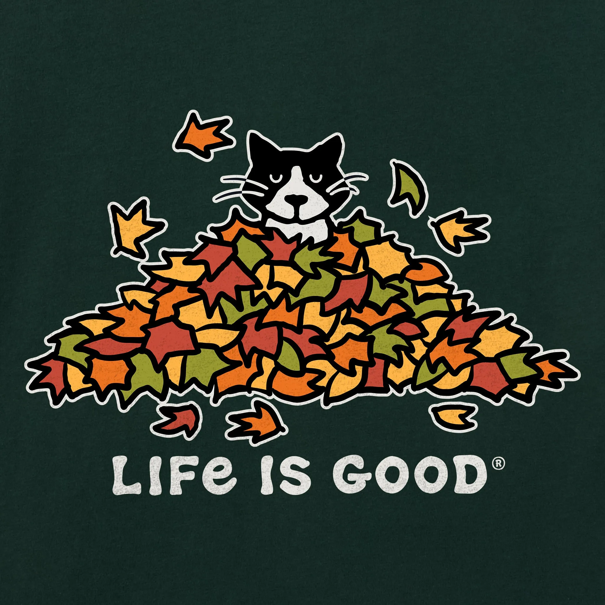 Men's Cat Gets Up and Leaves Short Sleeve Crusher Tee sold by Life is Good product image thumbnail 4