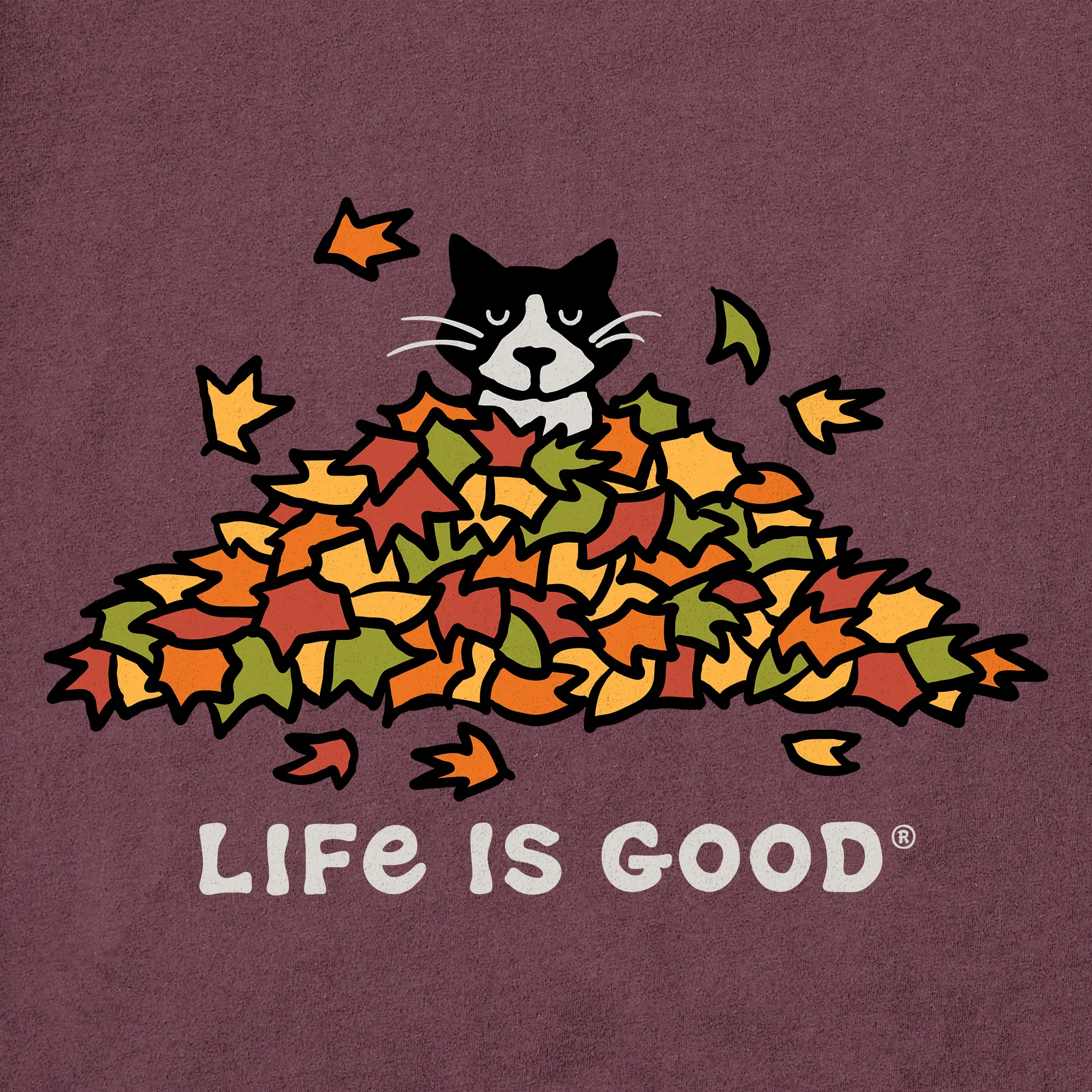 Men's Cat Gets Up and Leaves Short Sleeve Crusher Tee sold by Life is Good product image thumbnail 2