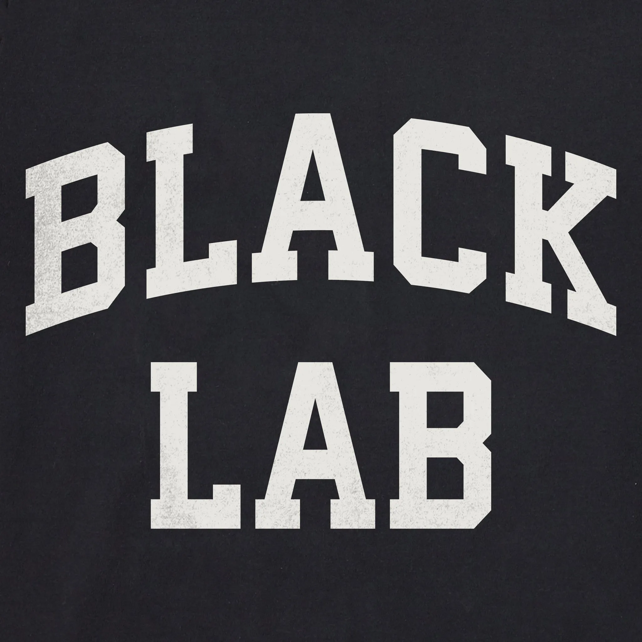 Women's Black Lab Arch Simply True Fleece Crew sold by Life is Good product image thumbnail 4