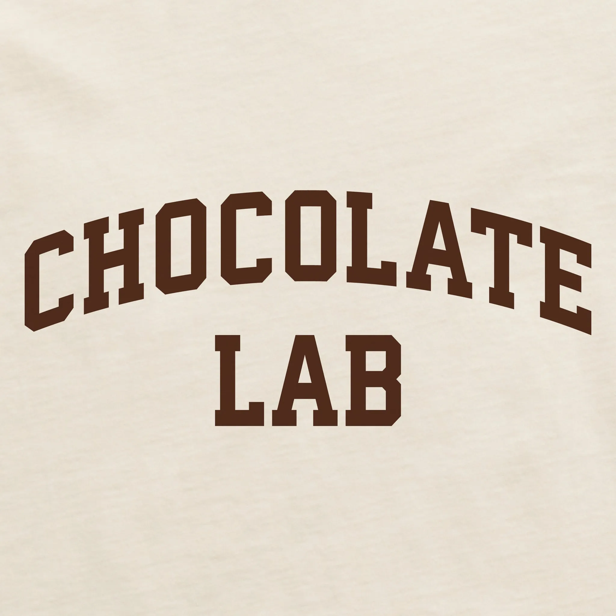 Men's Chocolate Lab Arch Short Sleeve Crusher Tee sold by Life is Good product image thumbnail 2