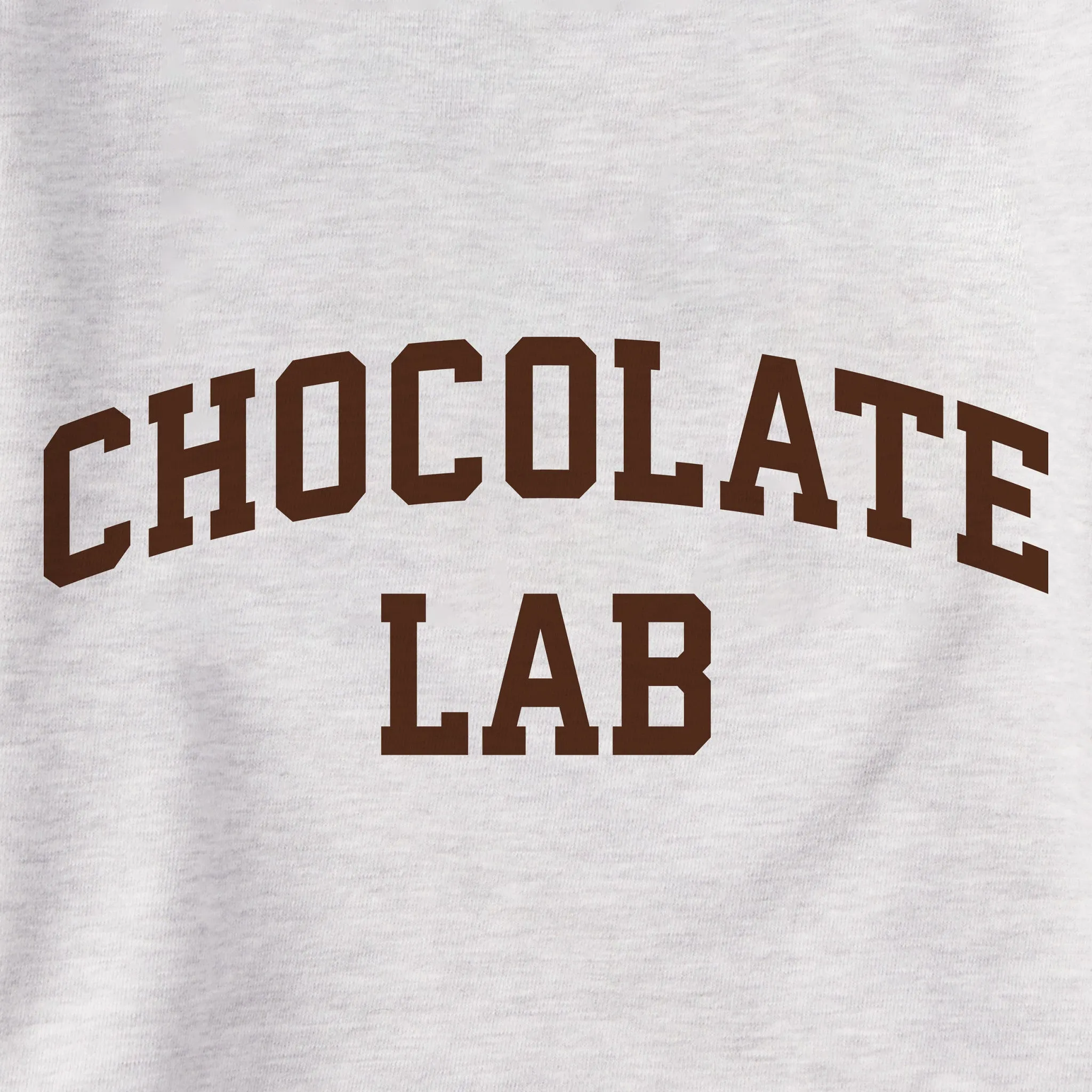 Women's Chocolate Lab Arch Simply True Fleece Crew sold by Life is Good product image thumbnail 2