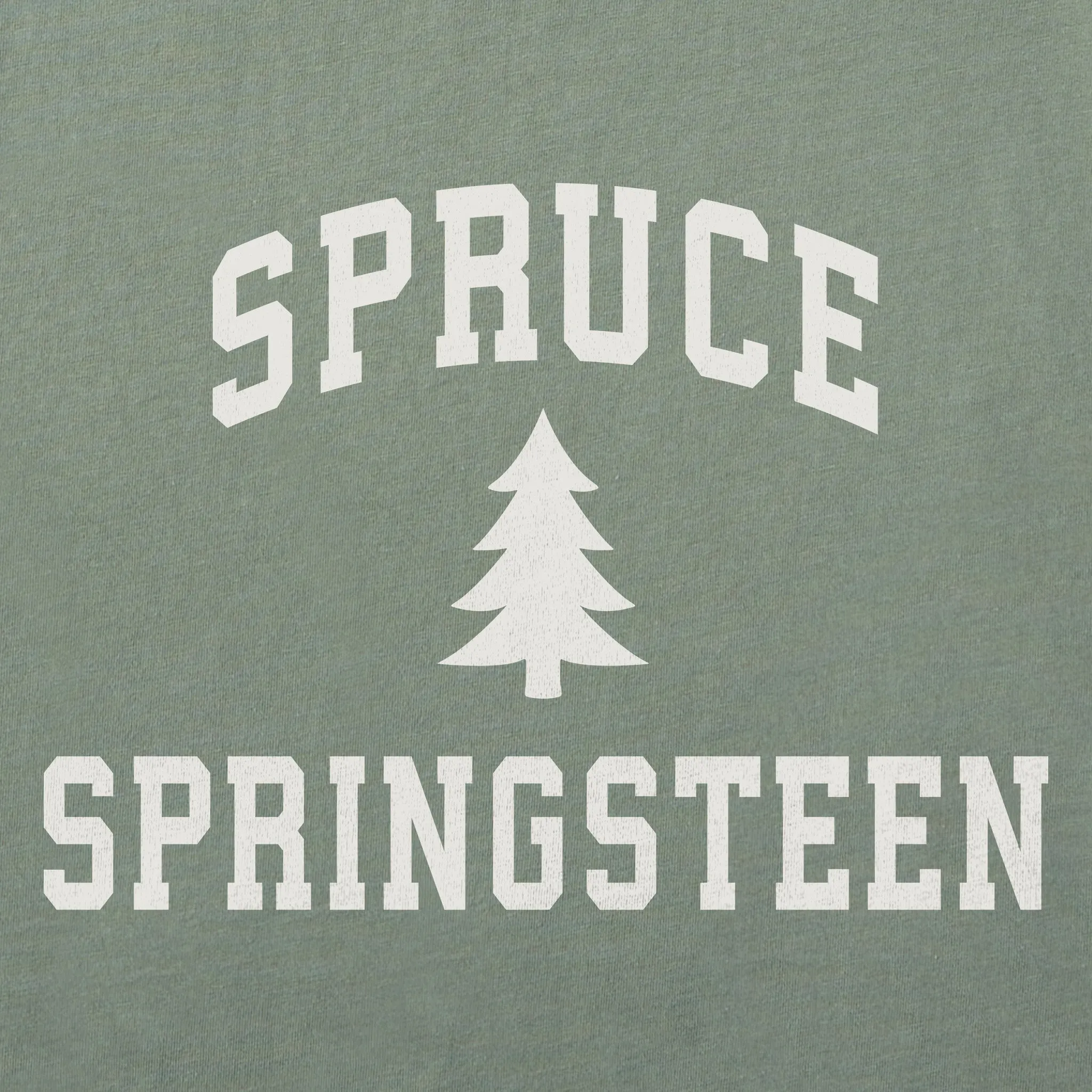 Men's Spruce Springsteen Arch Simply True Fleece Crew sold by Life is Good product image thumbnail 2