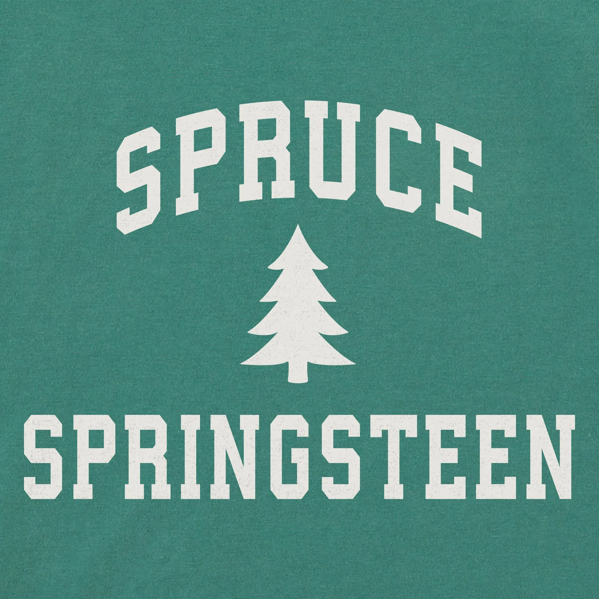 Women's Spruce Springsteen Arch Simply True Fleece Crew sold by Life is Good product image thumbnail 4