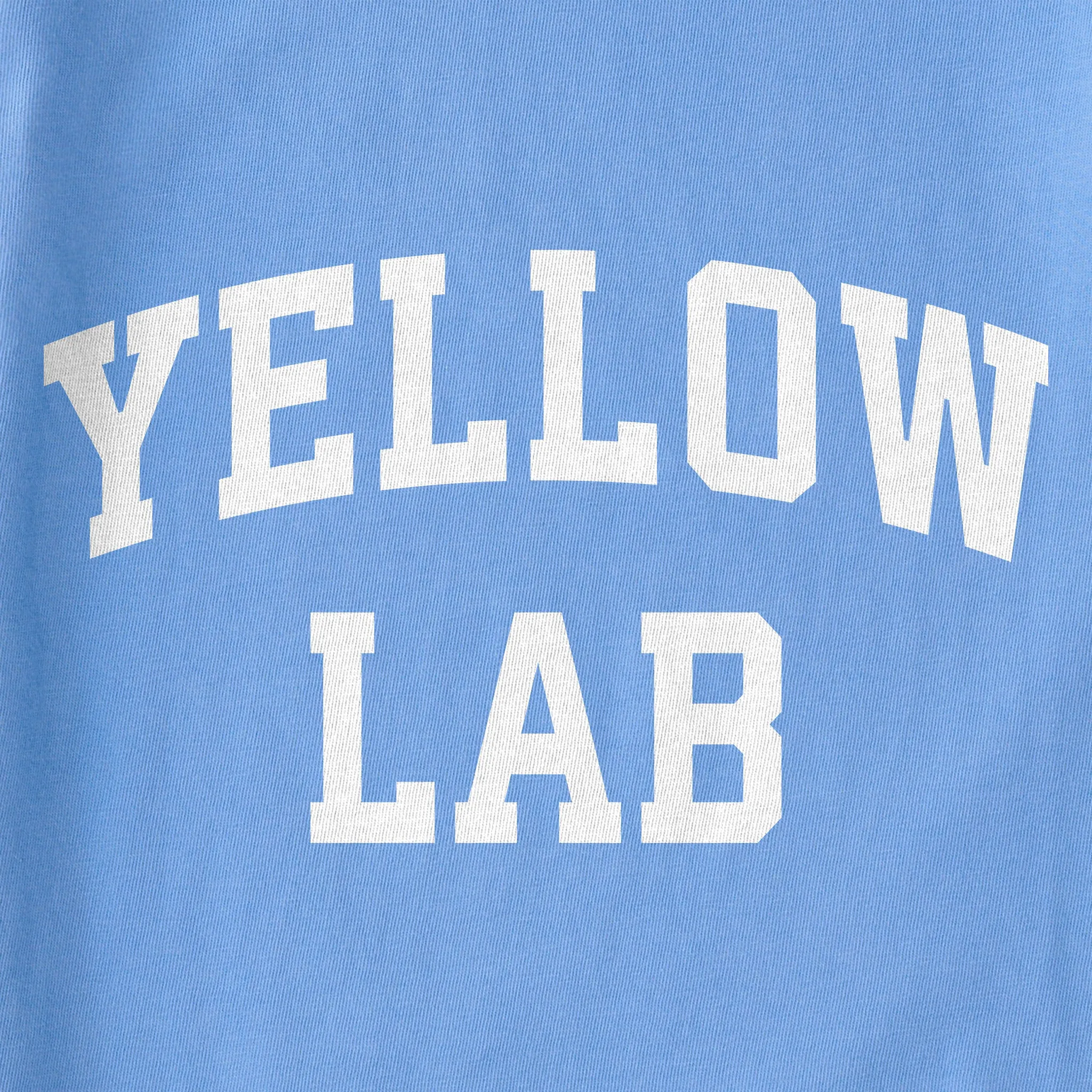 Women's Yellow Lab Arch Simply True Fleece Crew sold by Life is Good product image thumbnail 4