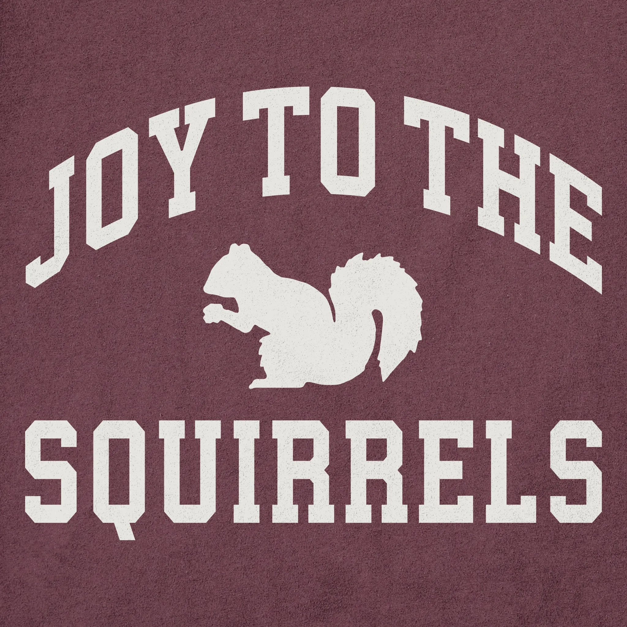 Men's Joy to the Squirrels Arch Long Sleeve Crusher Tee sold by Life is Good product image thumbnail 2