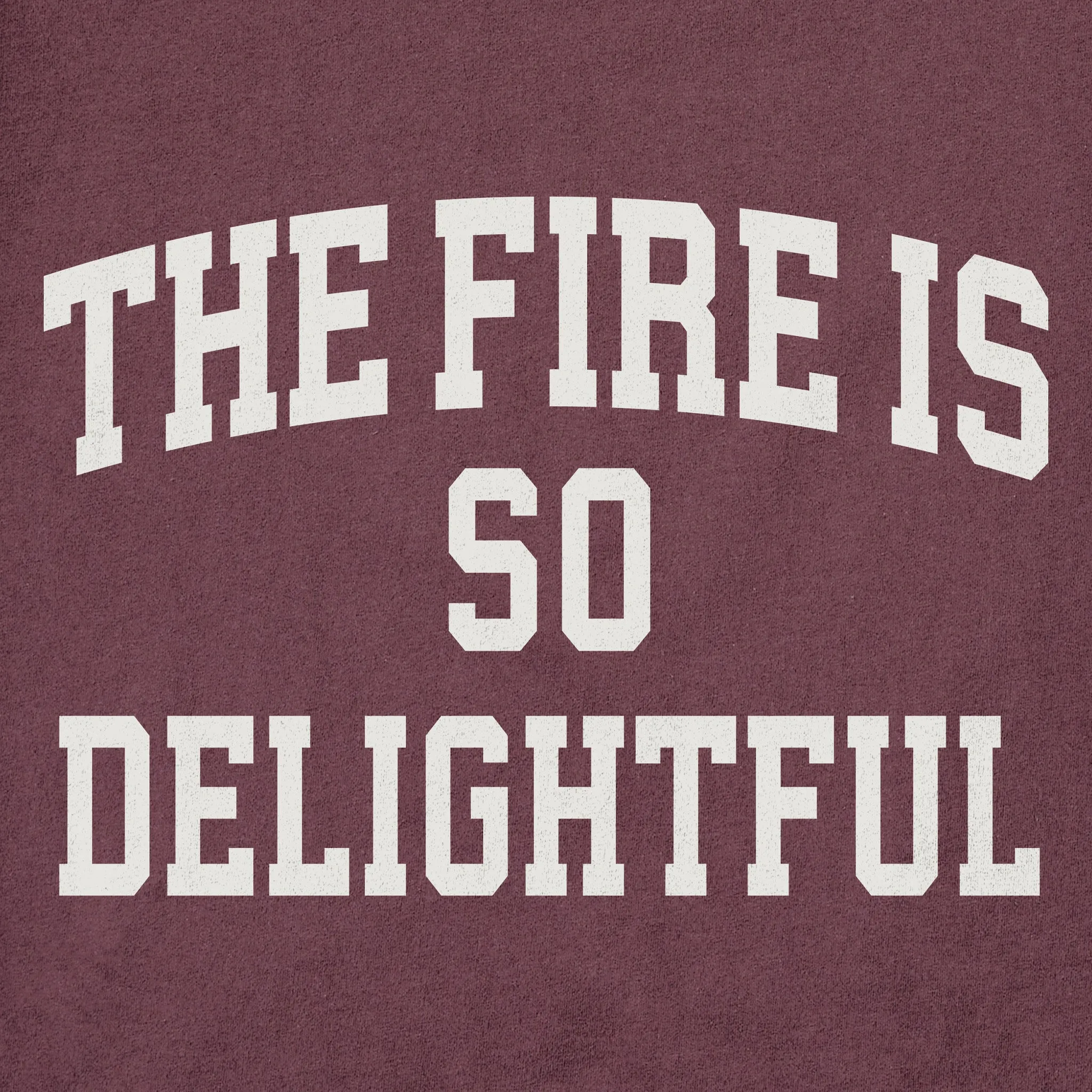 Men's The Fire is so Delightful Arch Long Sleeve Crusher Tee sold by Life is Good product image thumbnail 2