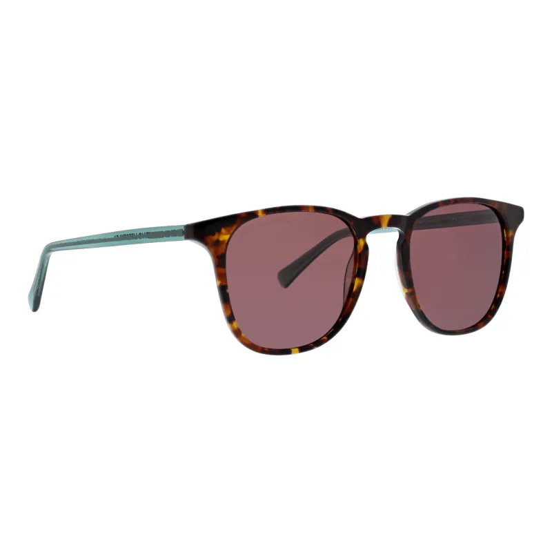 Niagara Sunglasses made by Life is Good