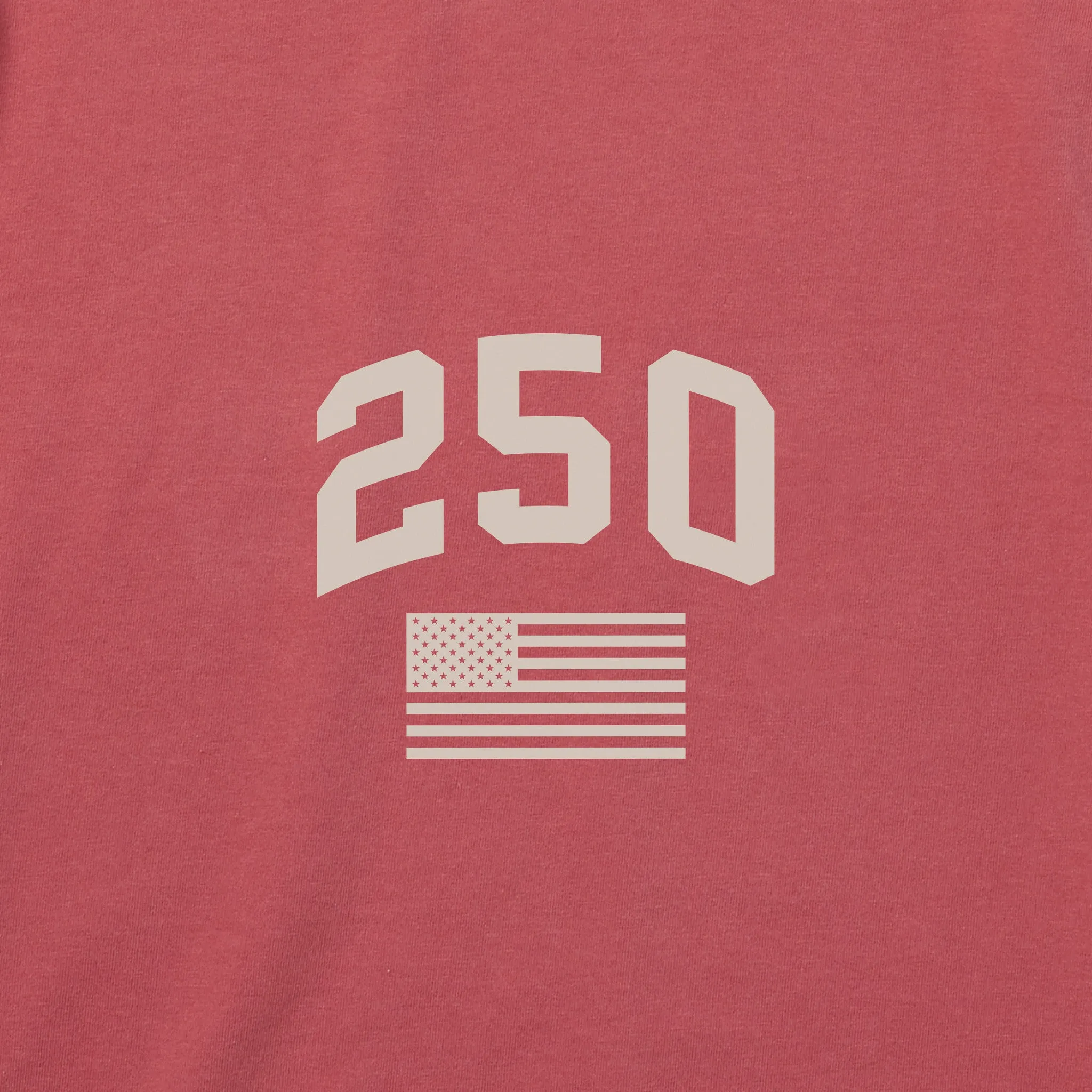 Men's USA Map Short Sleeve Crusher Tee sold by Life is Good product image thumbnail 3