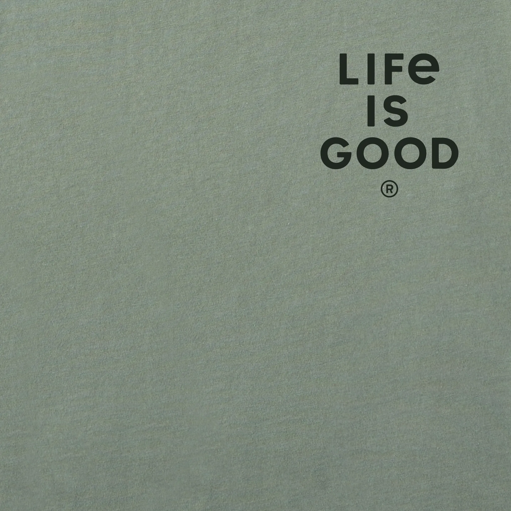 Men's Bert's Fish Cat Short Sleeve Crusher Tee sold by Life is Good product image thumbnail 3