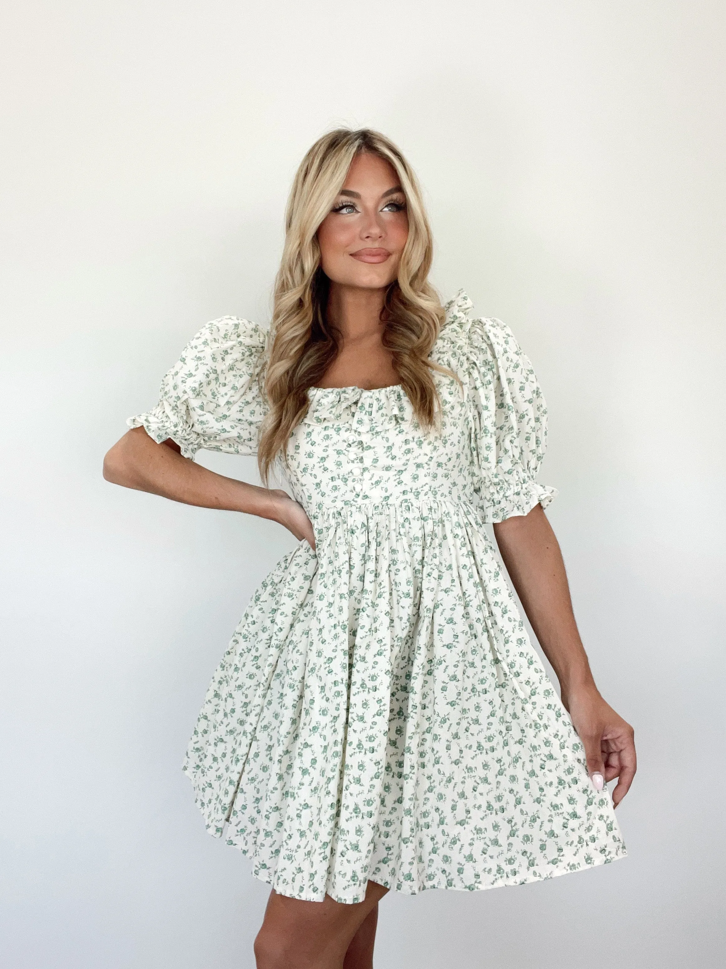 Enchanted Meadow Mini Dress sold by LANE 201 product image thumbnail 3