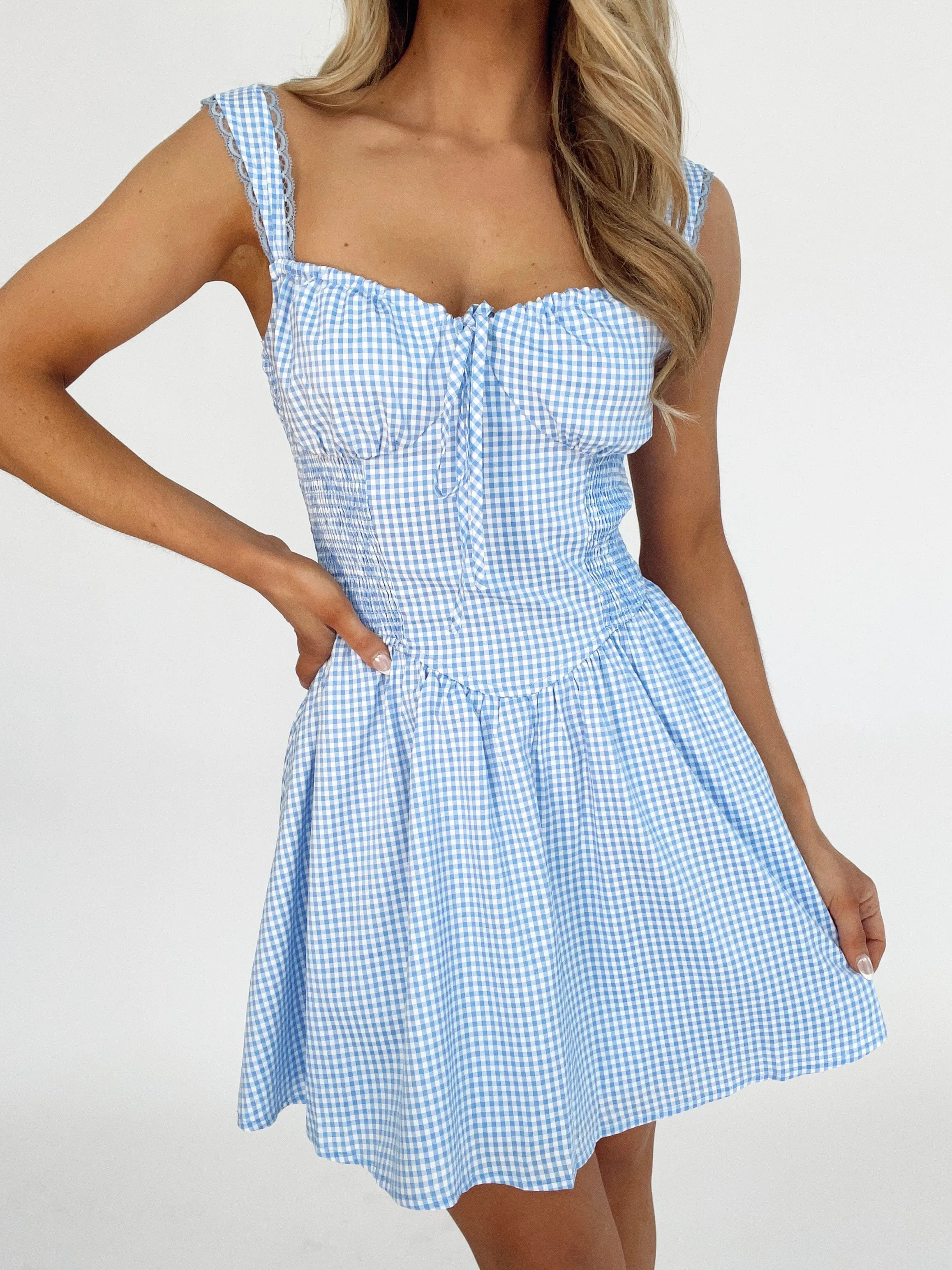 Gingham Garden Dress sold by LANE 201 product image thumbnail 3
