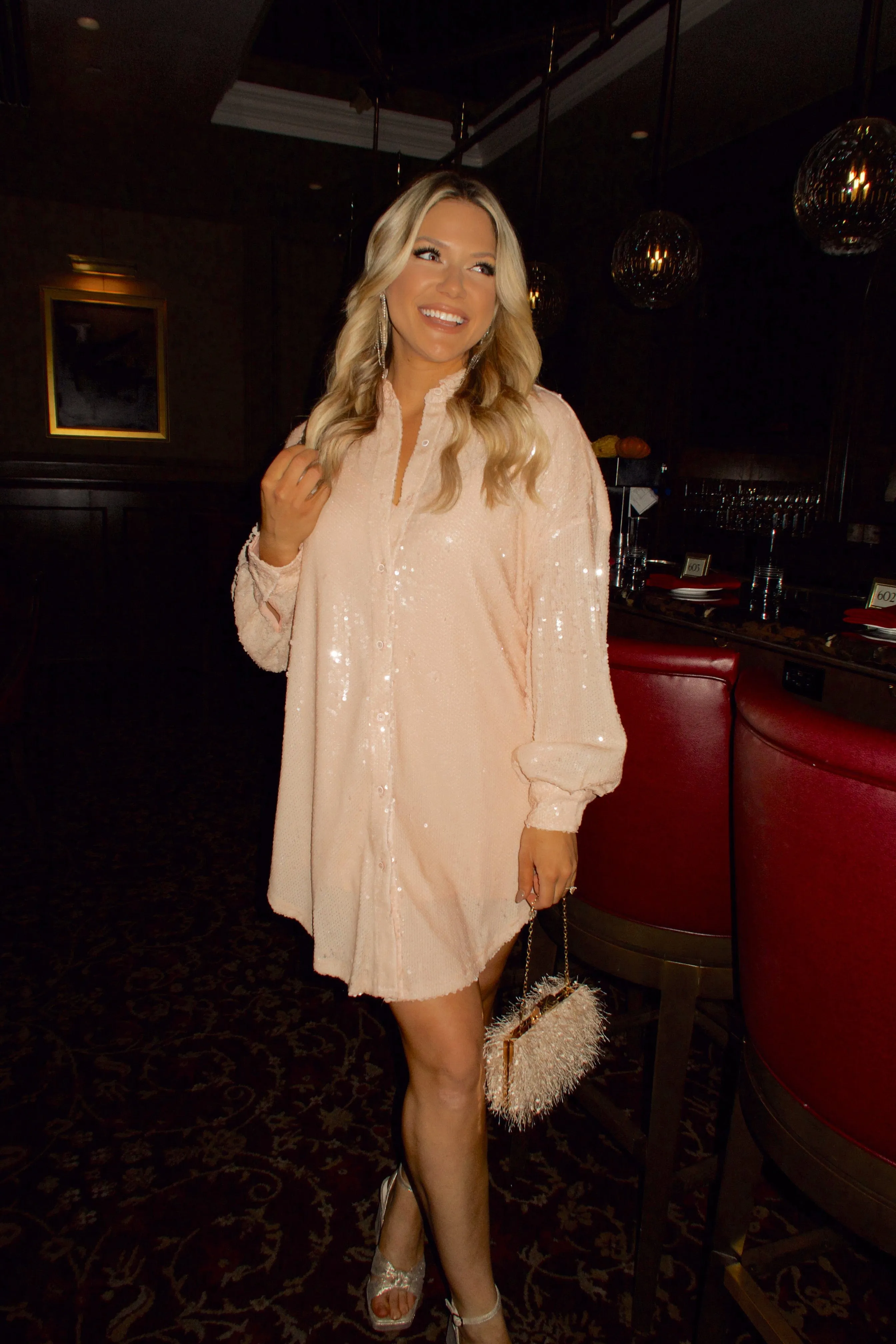 Glistening Sequin Dress sold by LANE 201