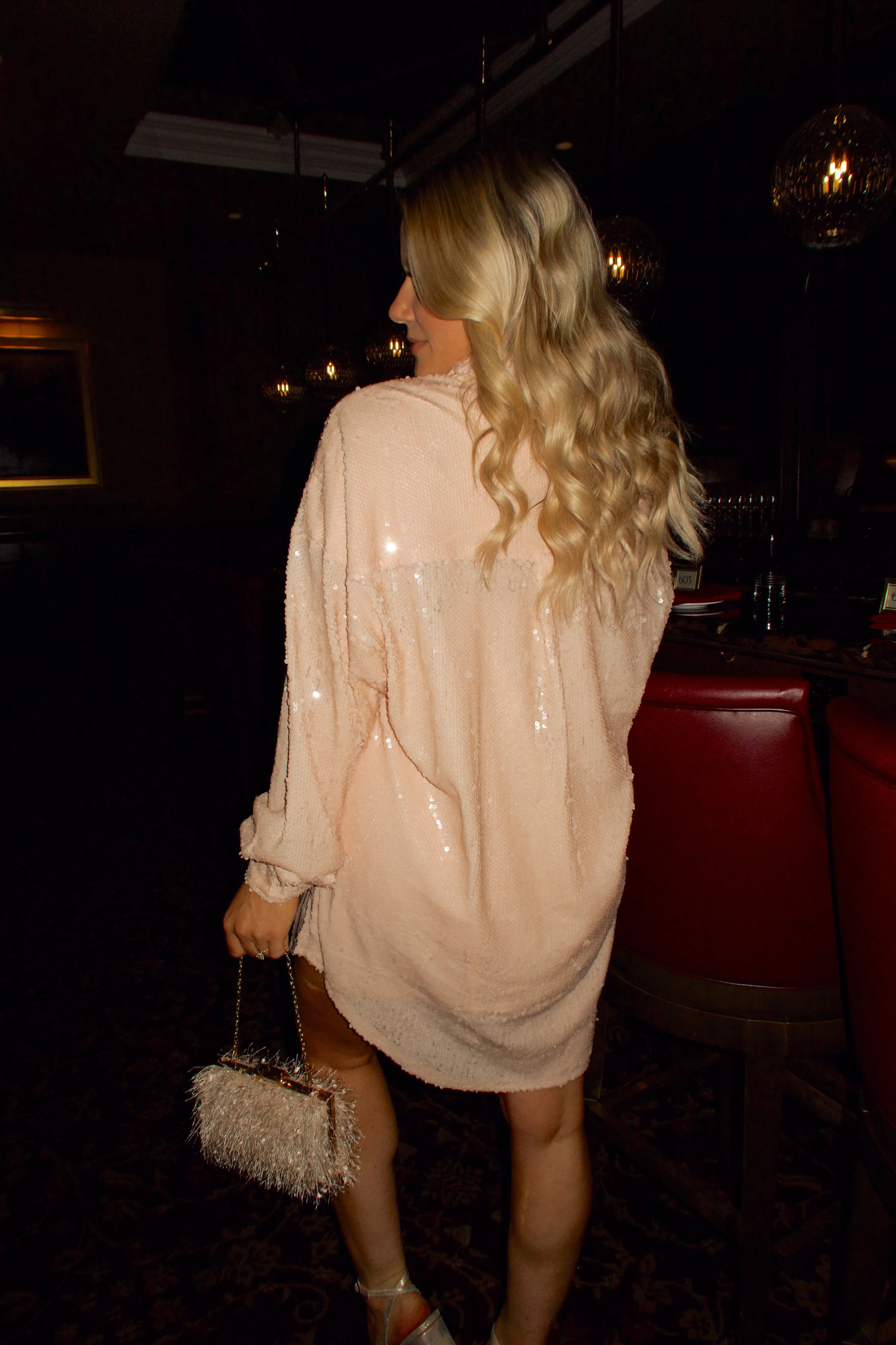 Glistening Sequin Dress sold by LANE 201 product image thumbnail 2