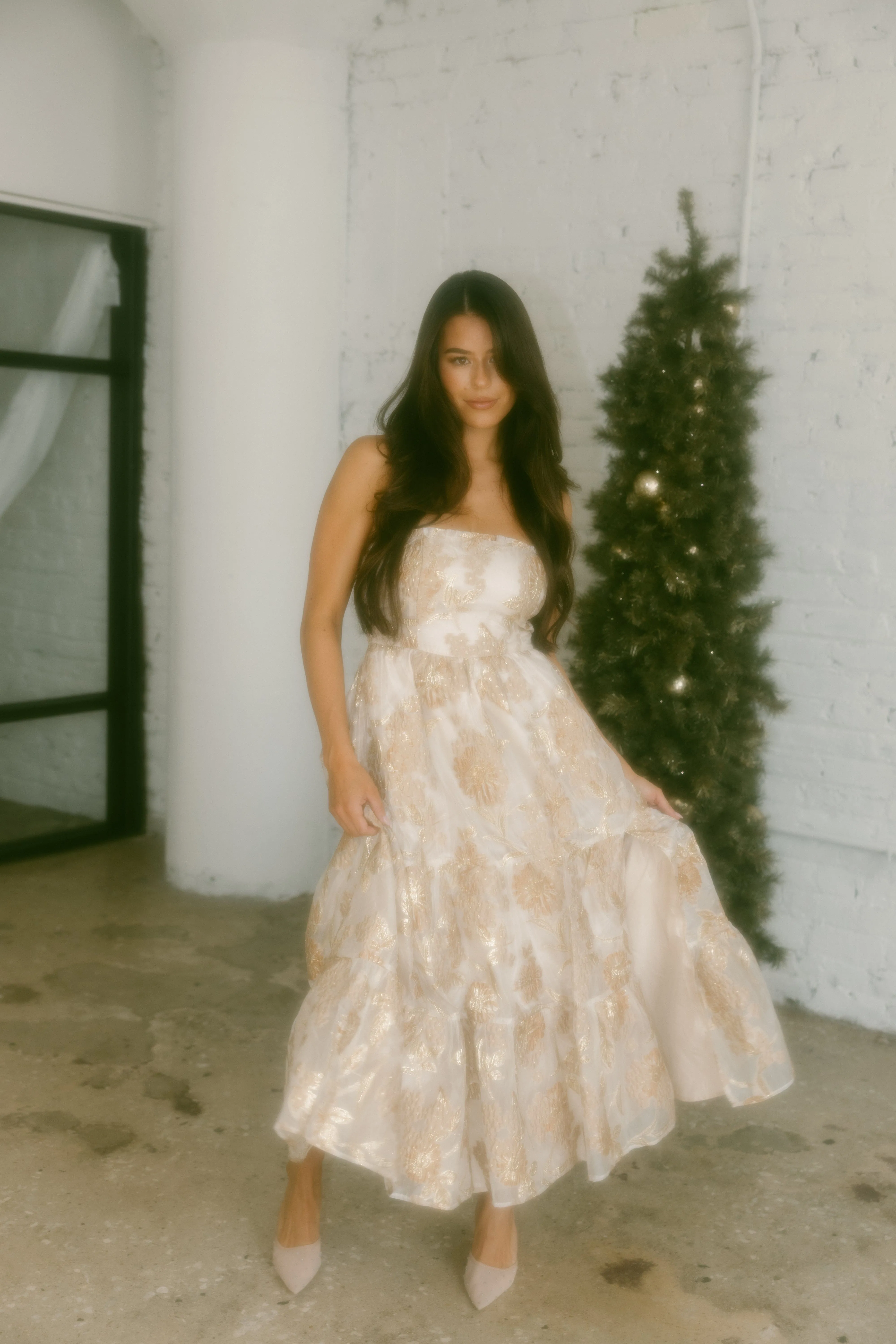 Luxe And Lavish Maxi Dress sold by LANE 201 product image thumbnail 2