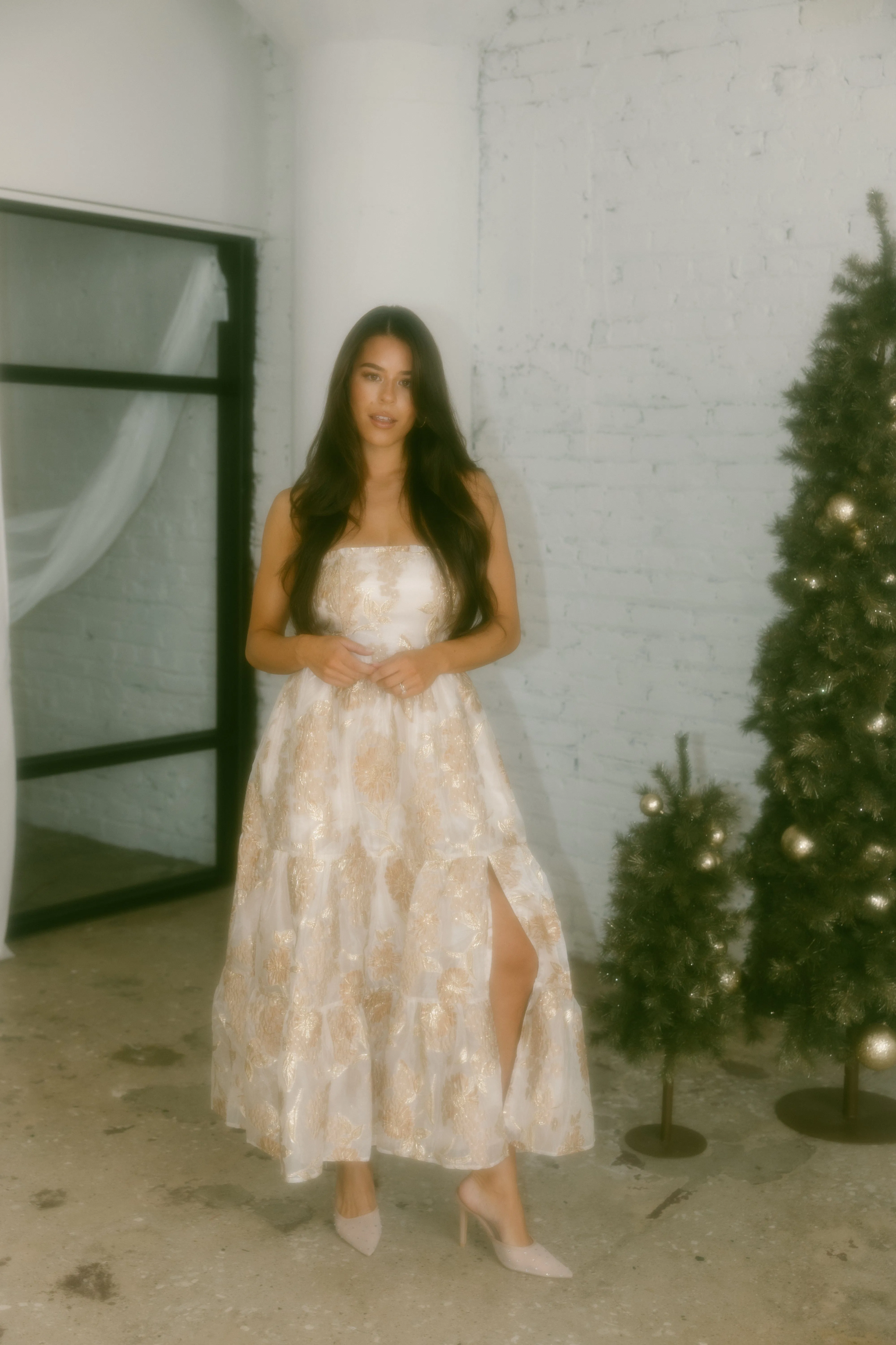 Luxe And Lavish Maxi Dress sold by LANE 201 product image thumbnail 4