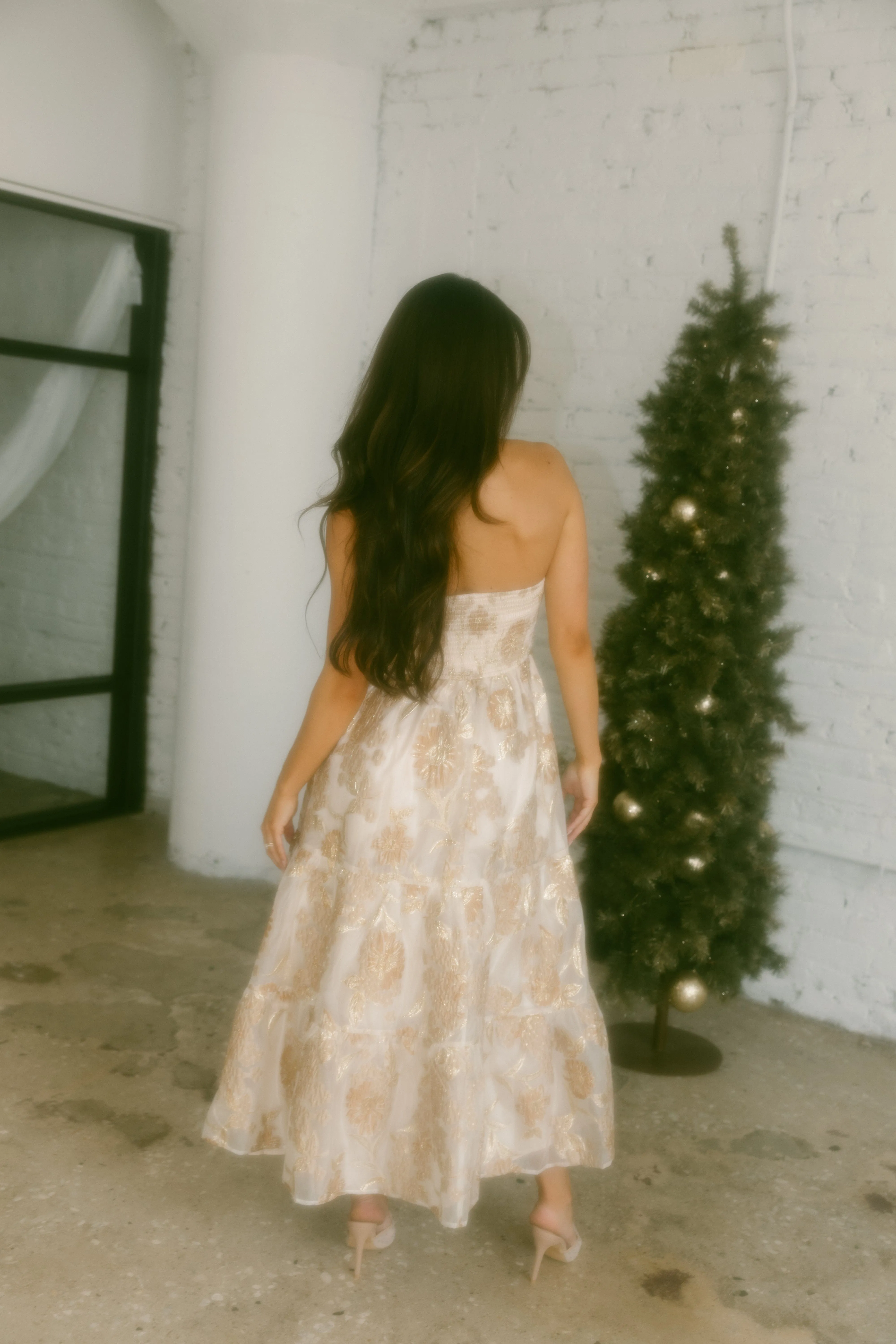 Luxe And Lavish Maxi Dress sold by LANE 201 product image thumbnail 5