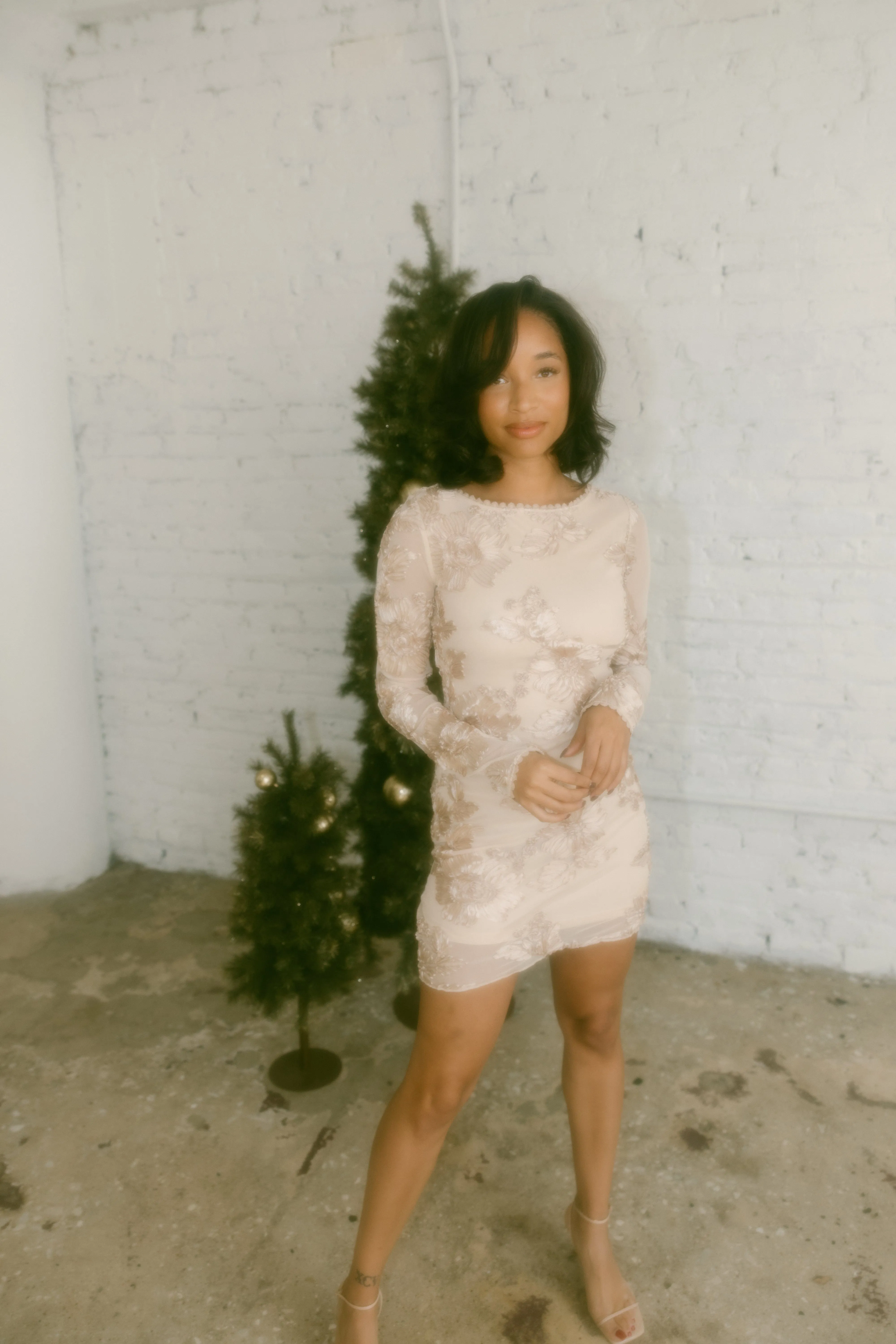 Champagne Toast Dress sold by LANE 201 product image thumbnail 4