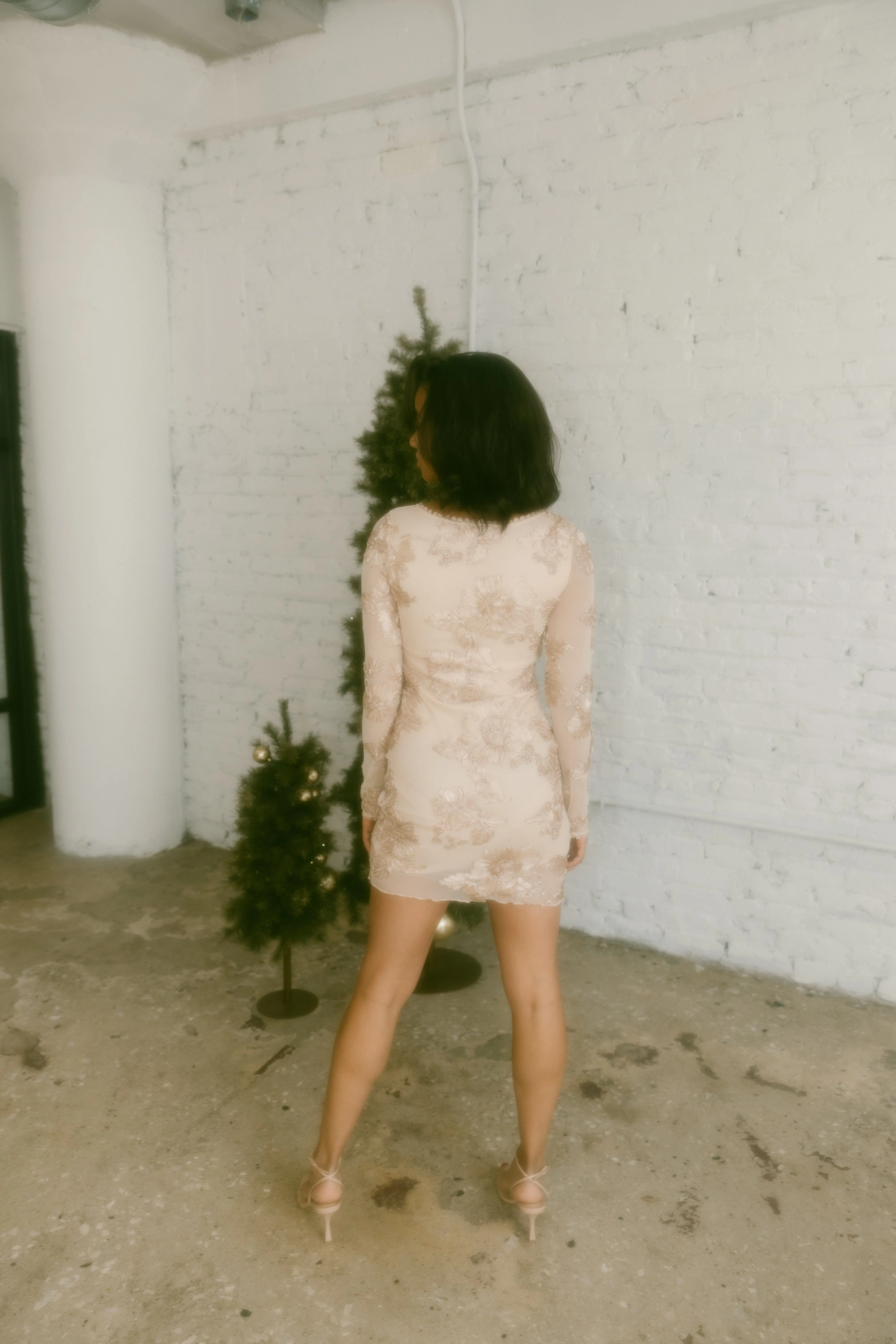 Champagne Toast Dress sold by LANE 201 product image thumbnail 2