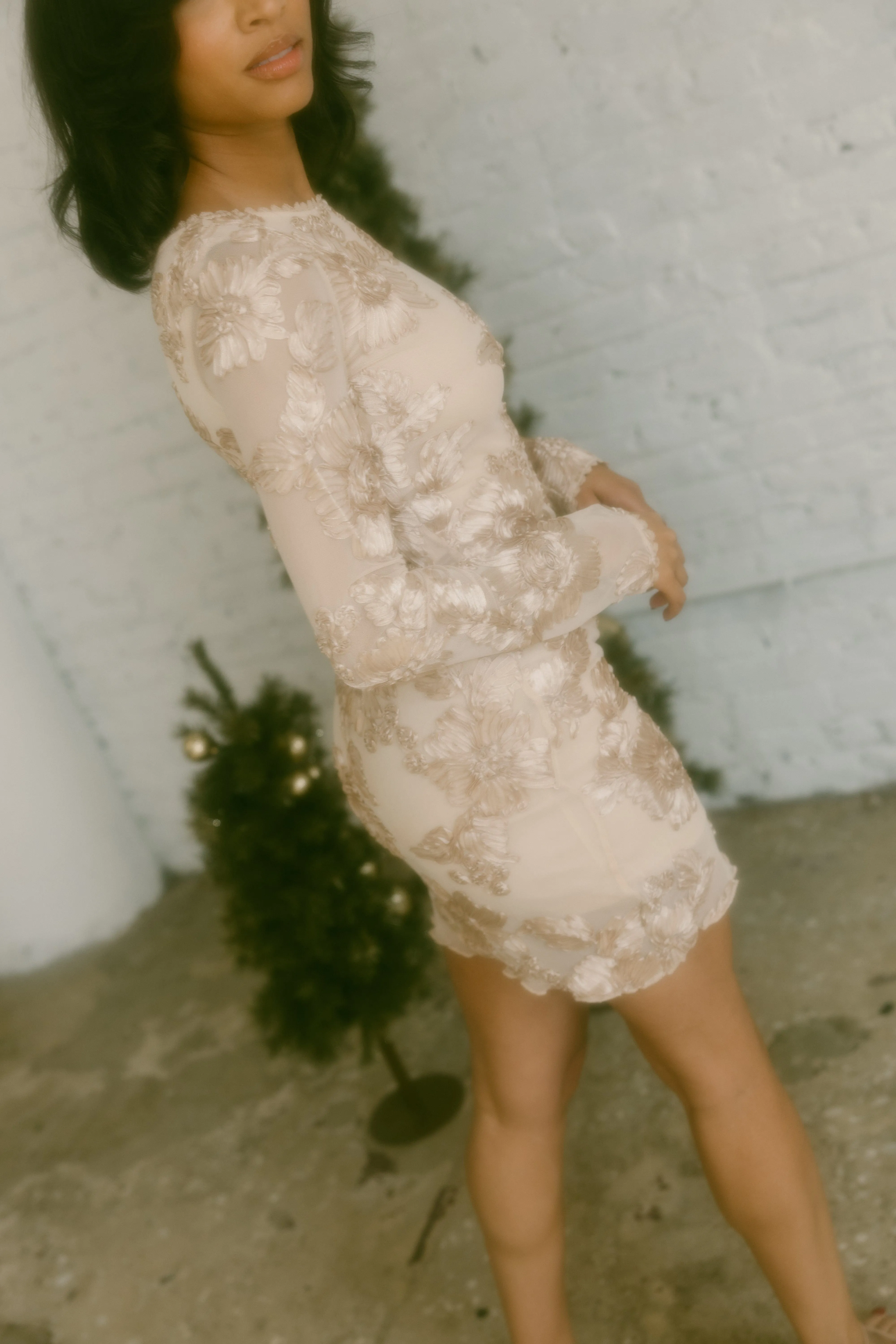 Champagne Toast Dress sold by LANE 201 product image thumbnail 3