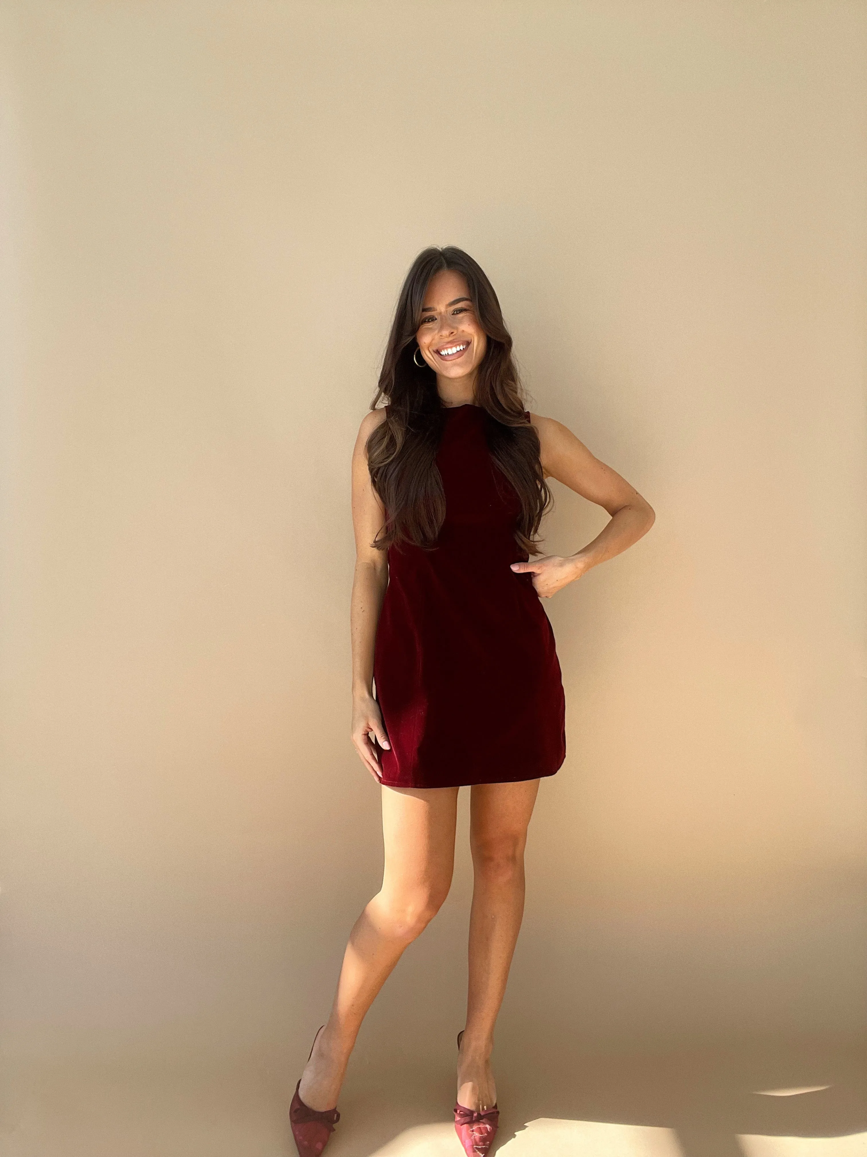 Holiday Toast Dress sold by LANE 201 product image thumbnail 4