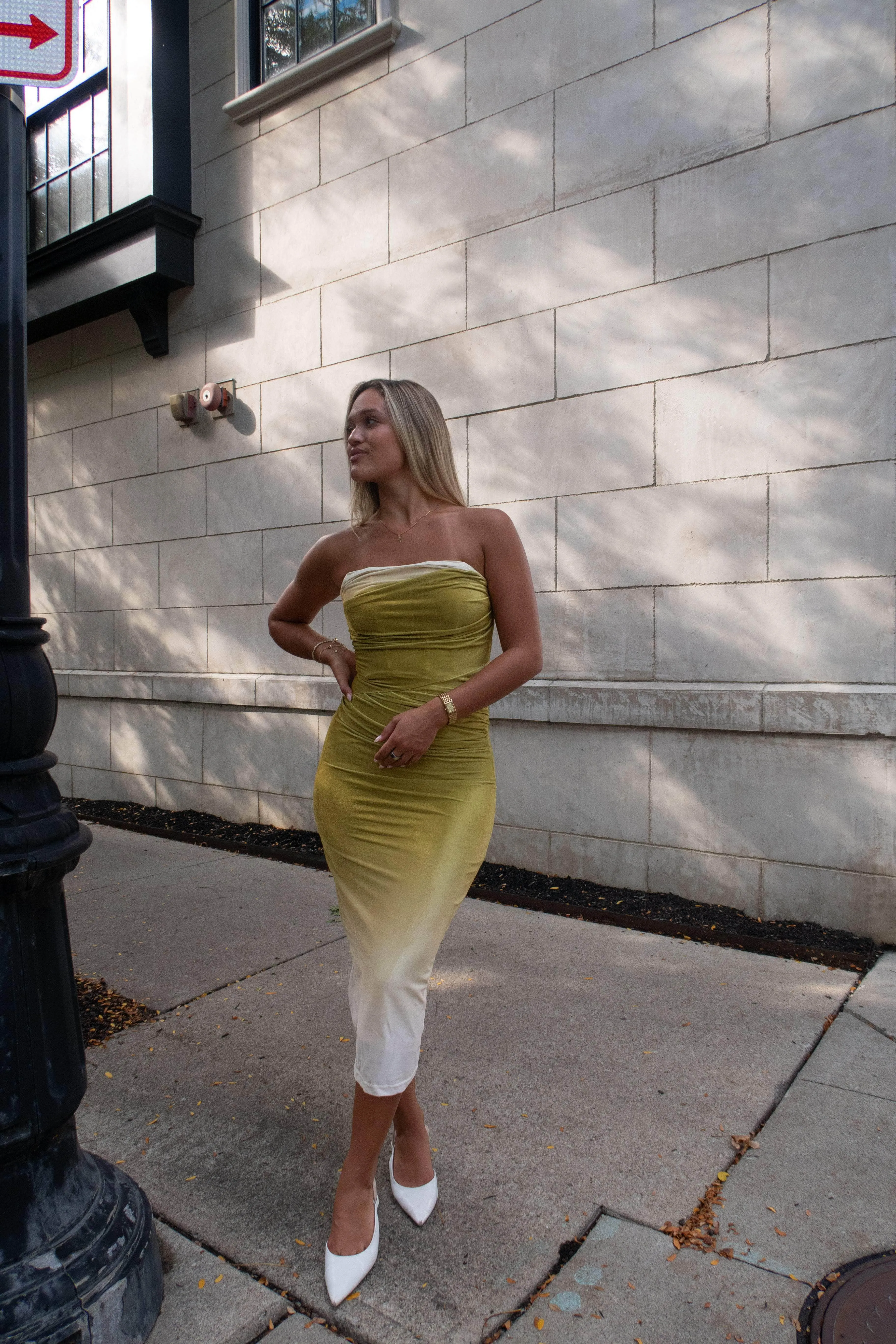 Evening Pour Velvet Dress sold by LANE 201 product image thumbnail 3