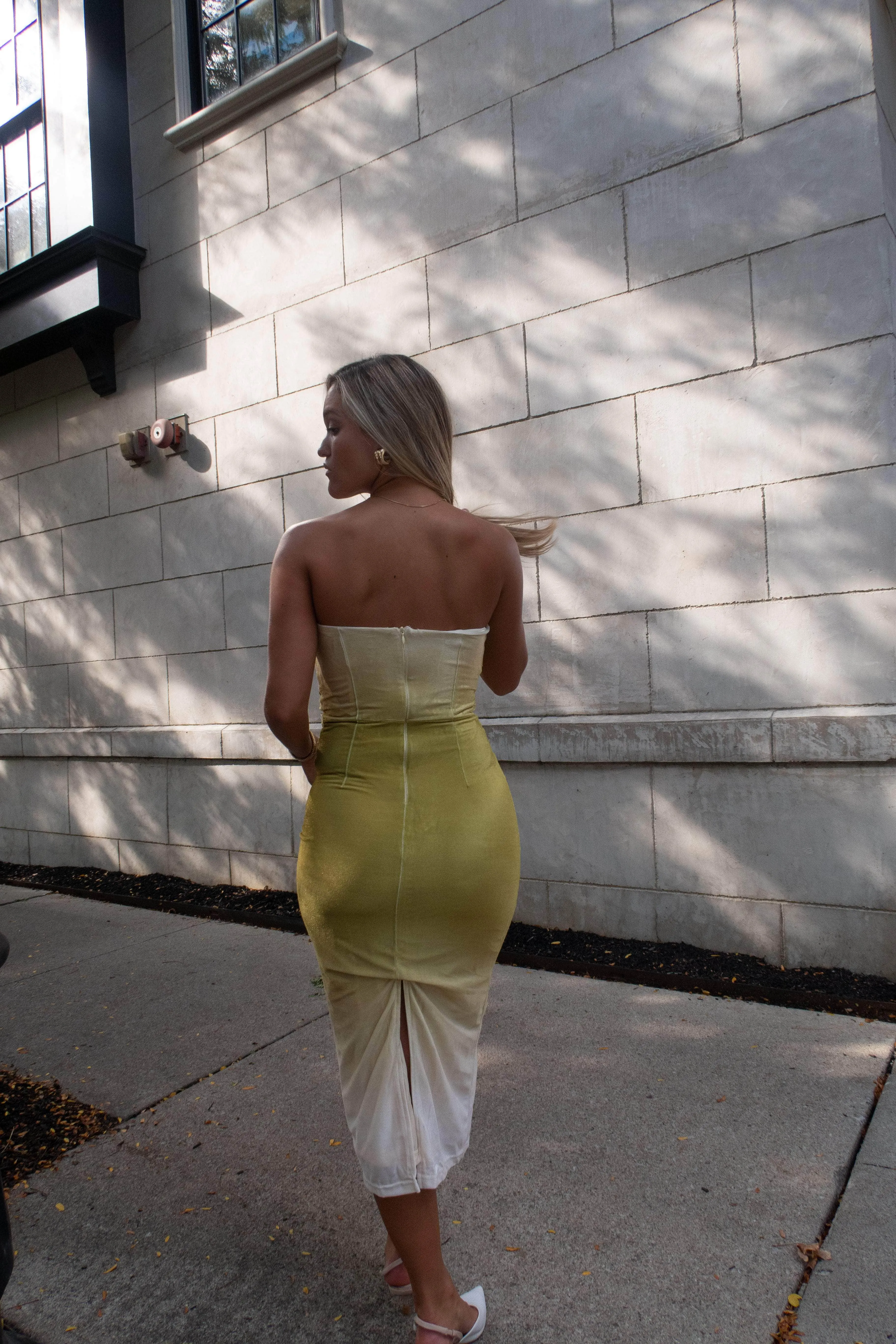 Evening Pour Velvet Dress sold by LANE 201 product image thumbnail 4