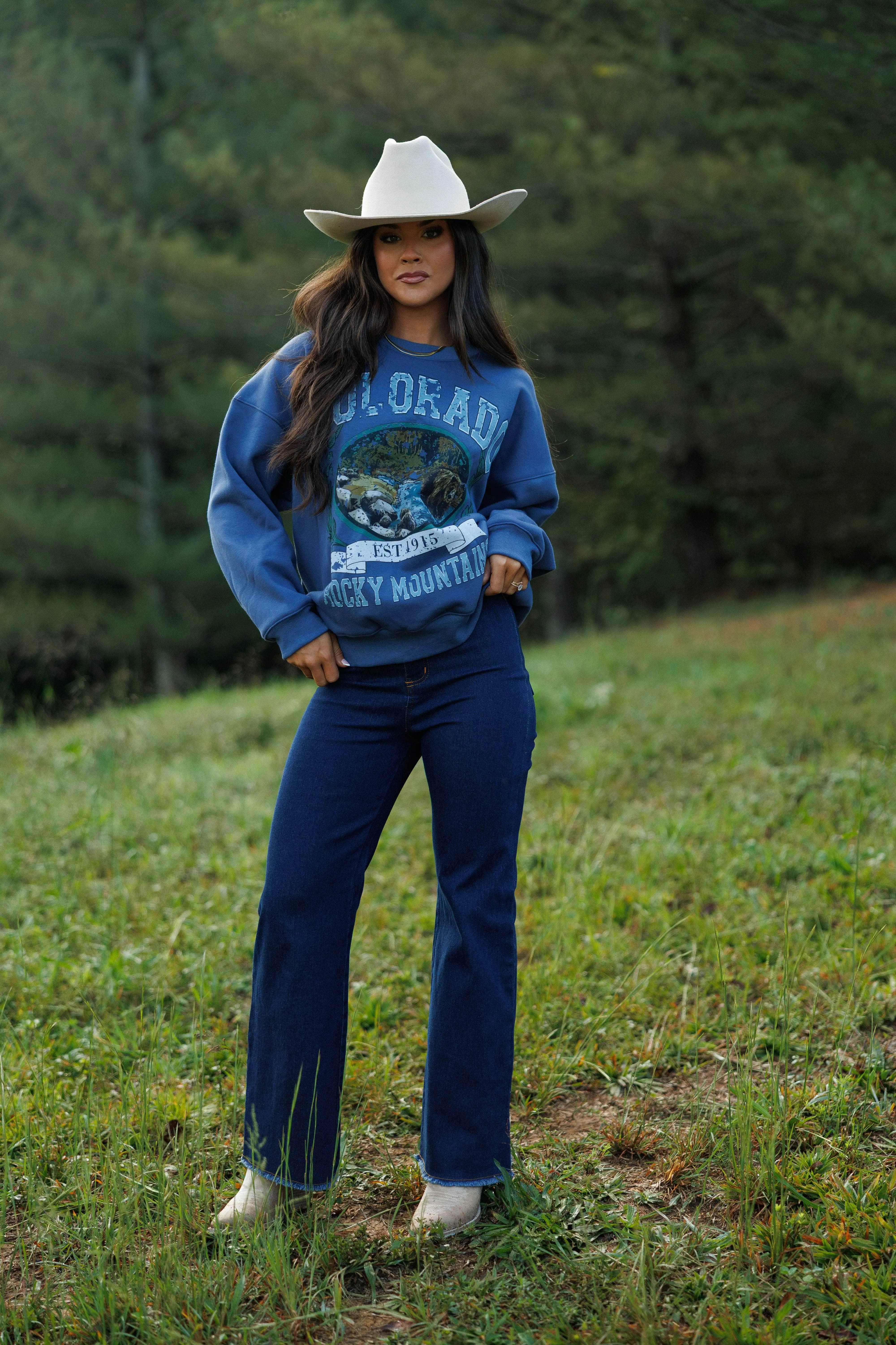 Colorado Rocky Mountains Sweatshirt sold by LANE 201 product image thumbnail 4