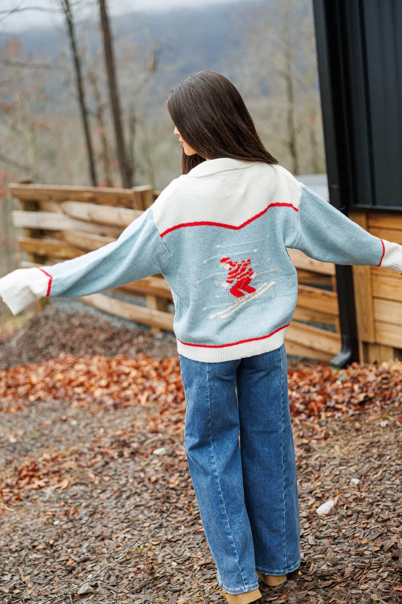 Ski Patch Knit Cardigan sold by LANE 201 product image thumbnail 2