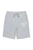 Alpine Heather Grey Fleece Short sold by Rockstar Original