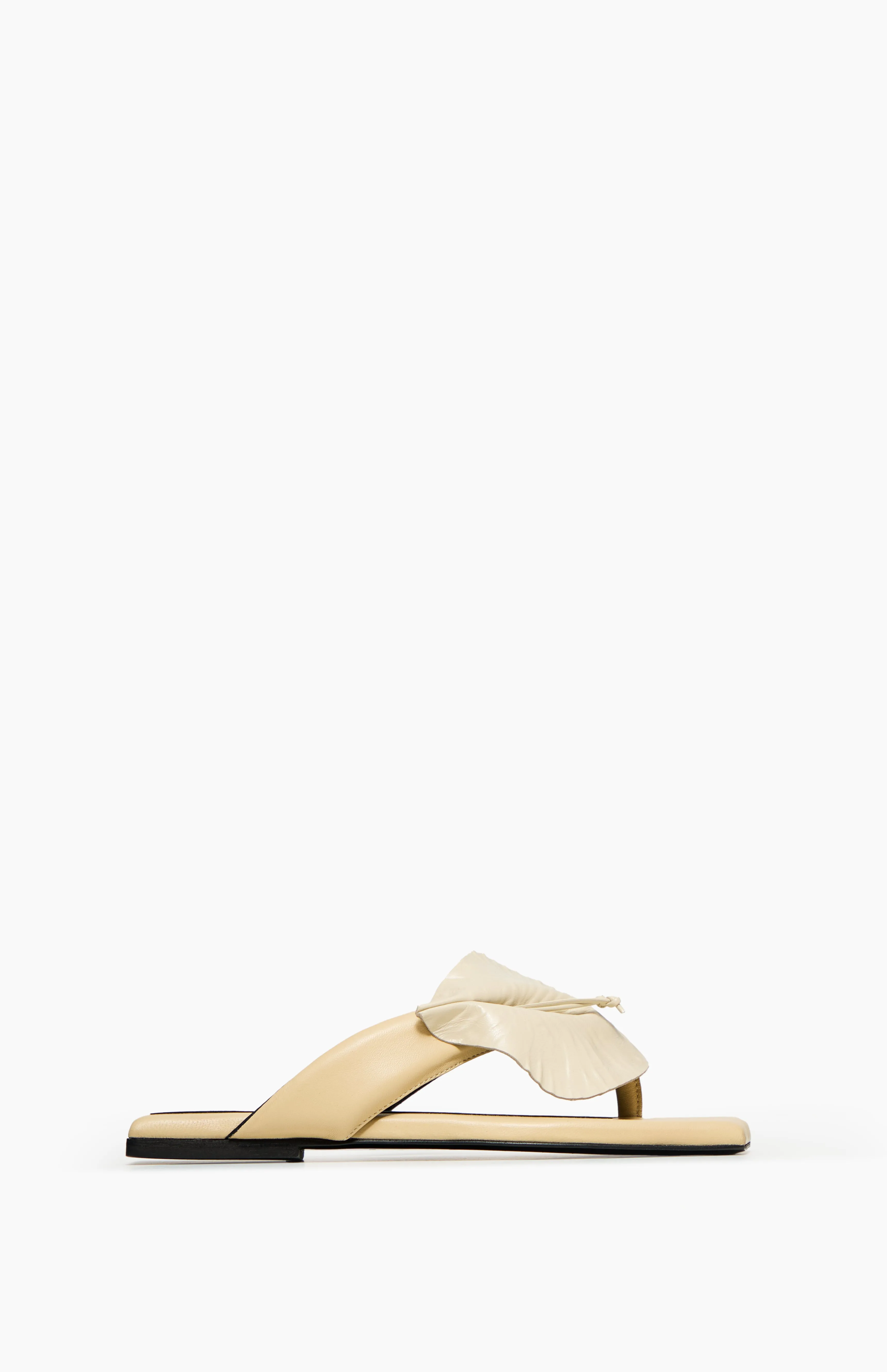 ELLA IVORY sold by Vanda Novak product image thumbnail 5