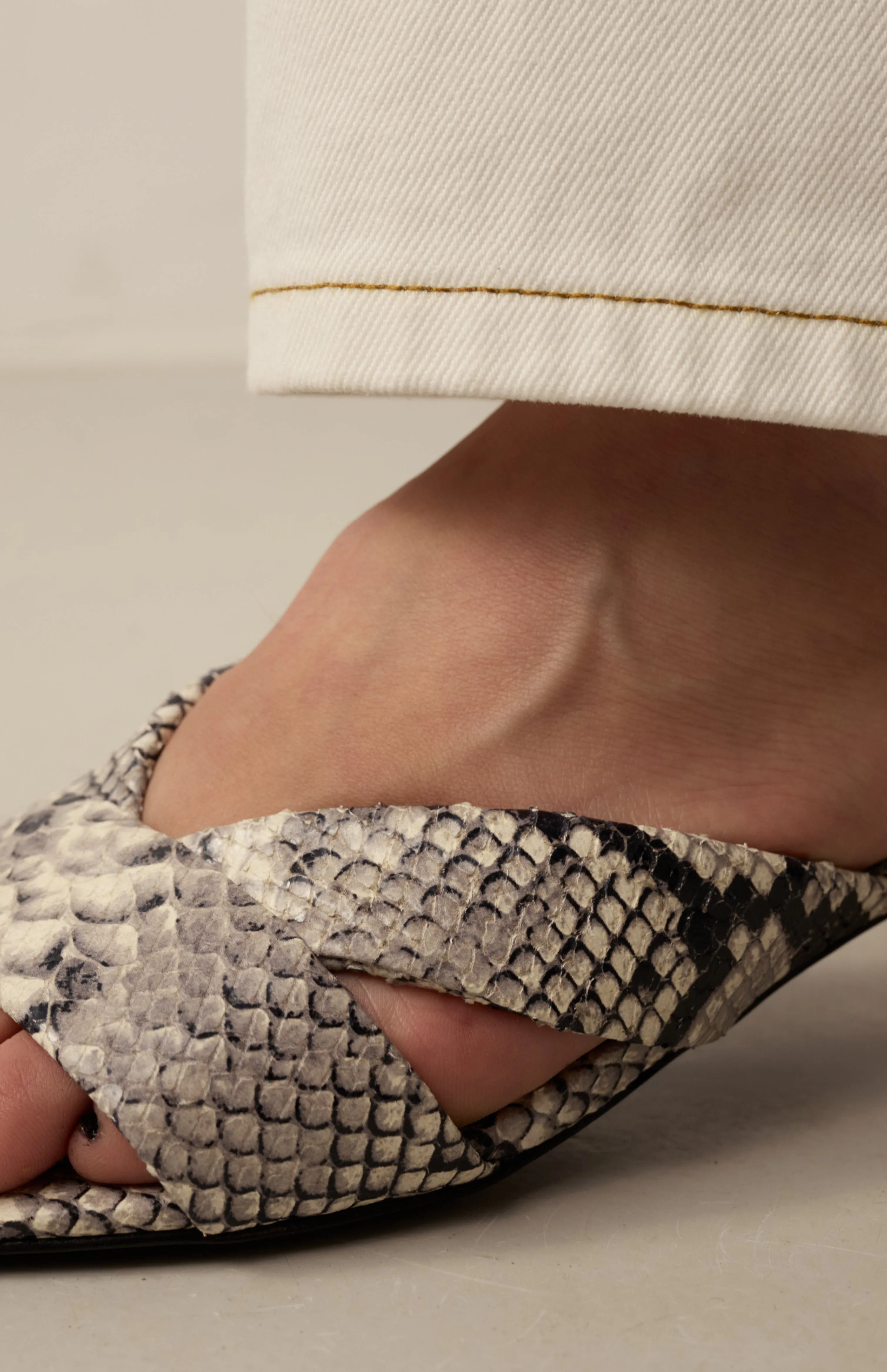 MAYA GRAY PYTHON sold by Vanda Novak product image thumbnail 3