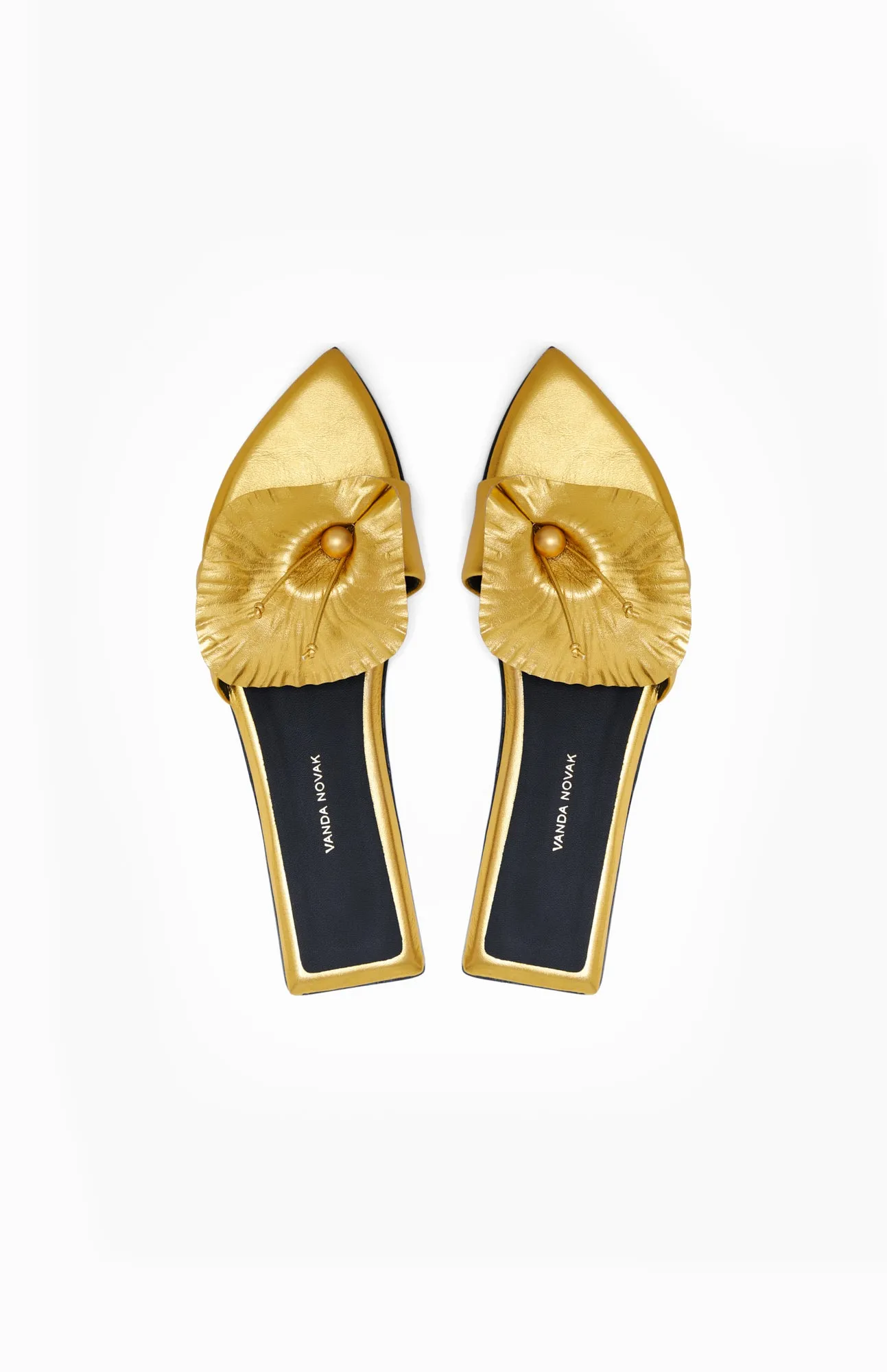 LILY HONEY GOLD sold by Vanda Novak