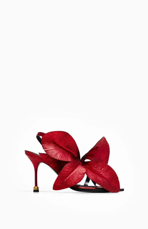 DAISY CHERRY RED sold by Vanda Novak